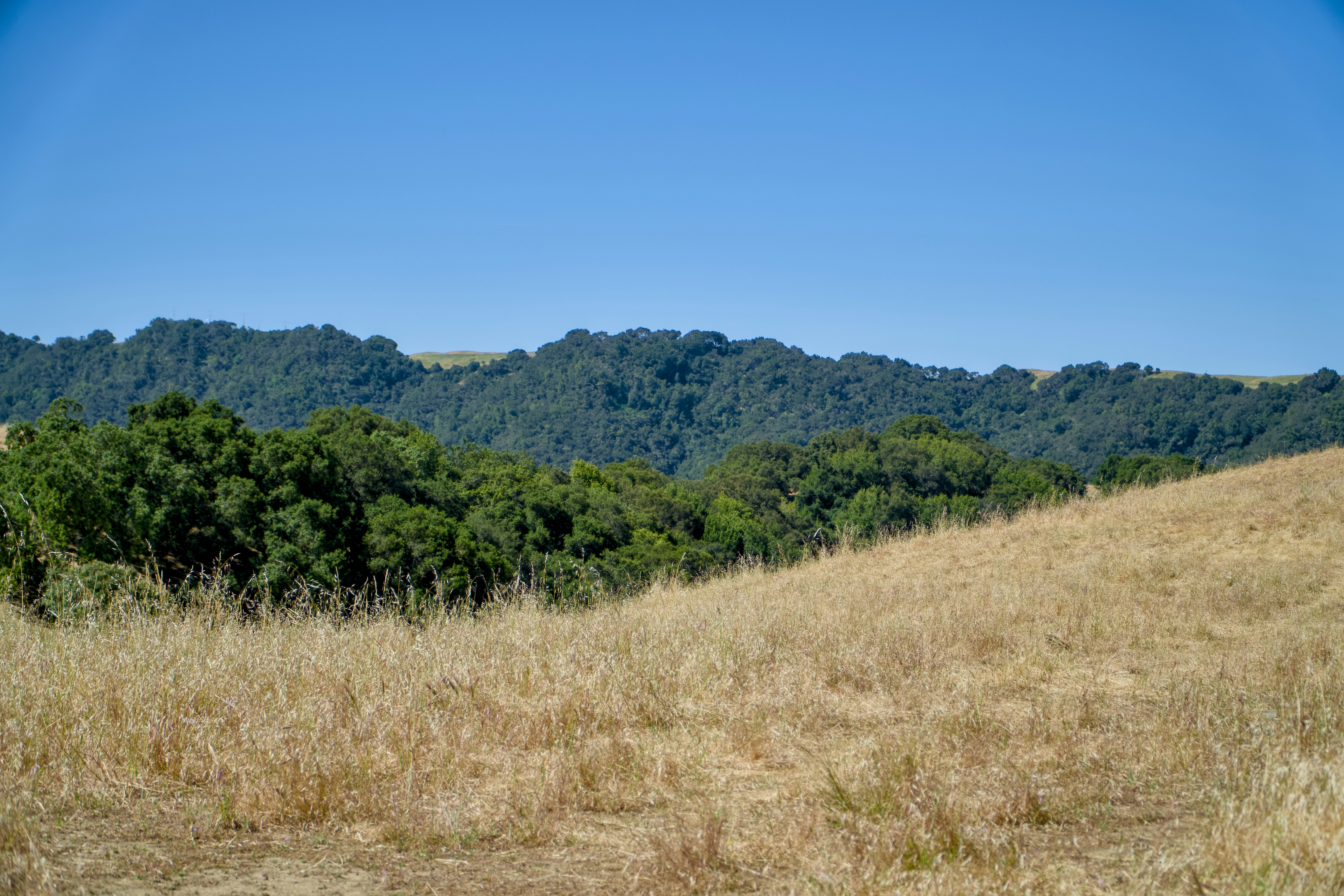 Photo by spencer_demera