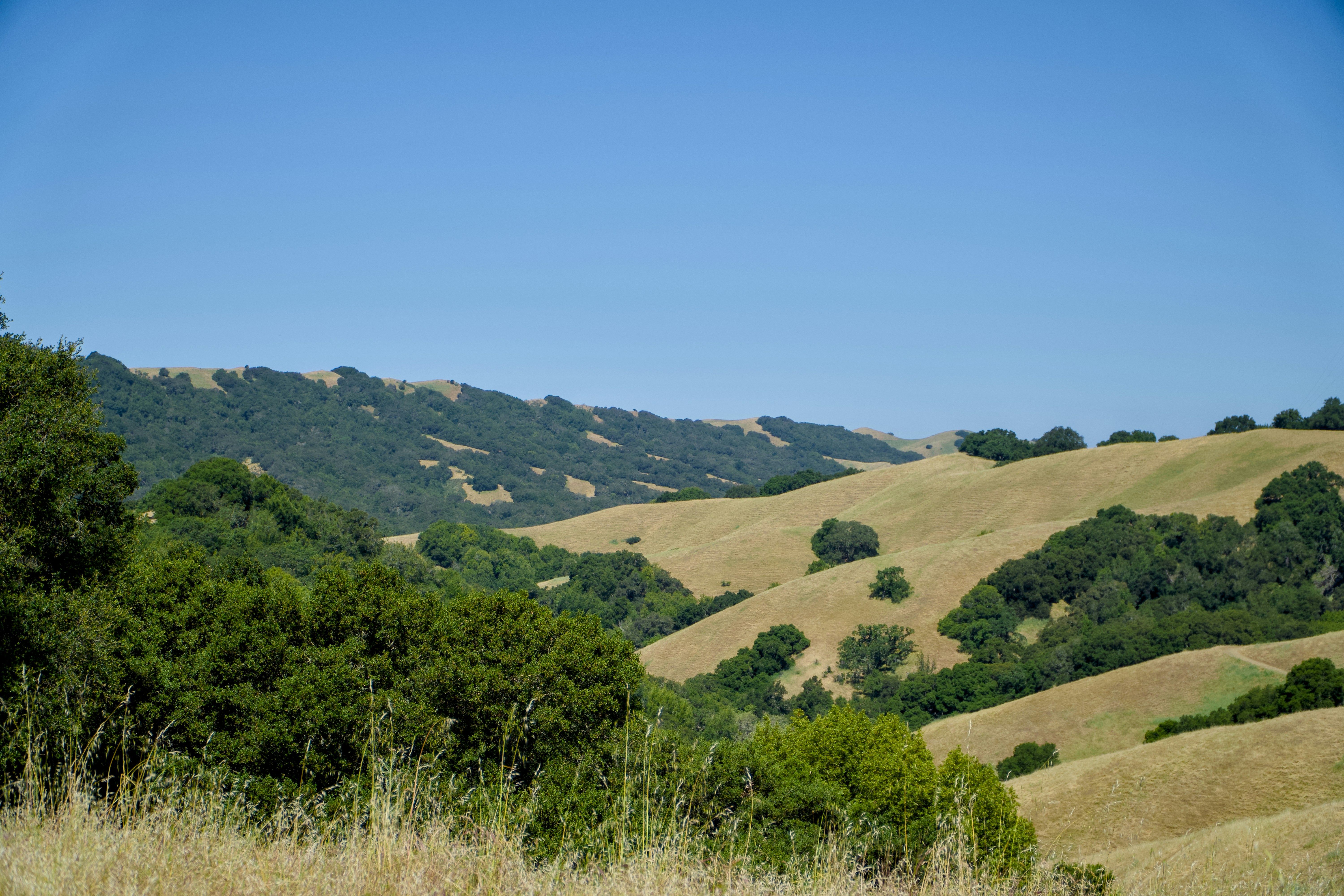 Photo by spencer_demera