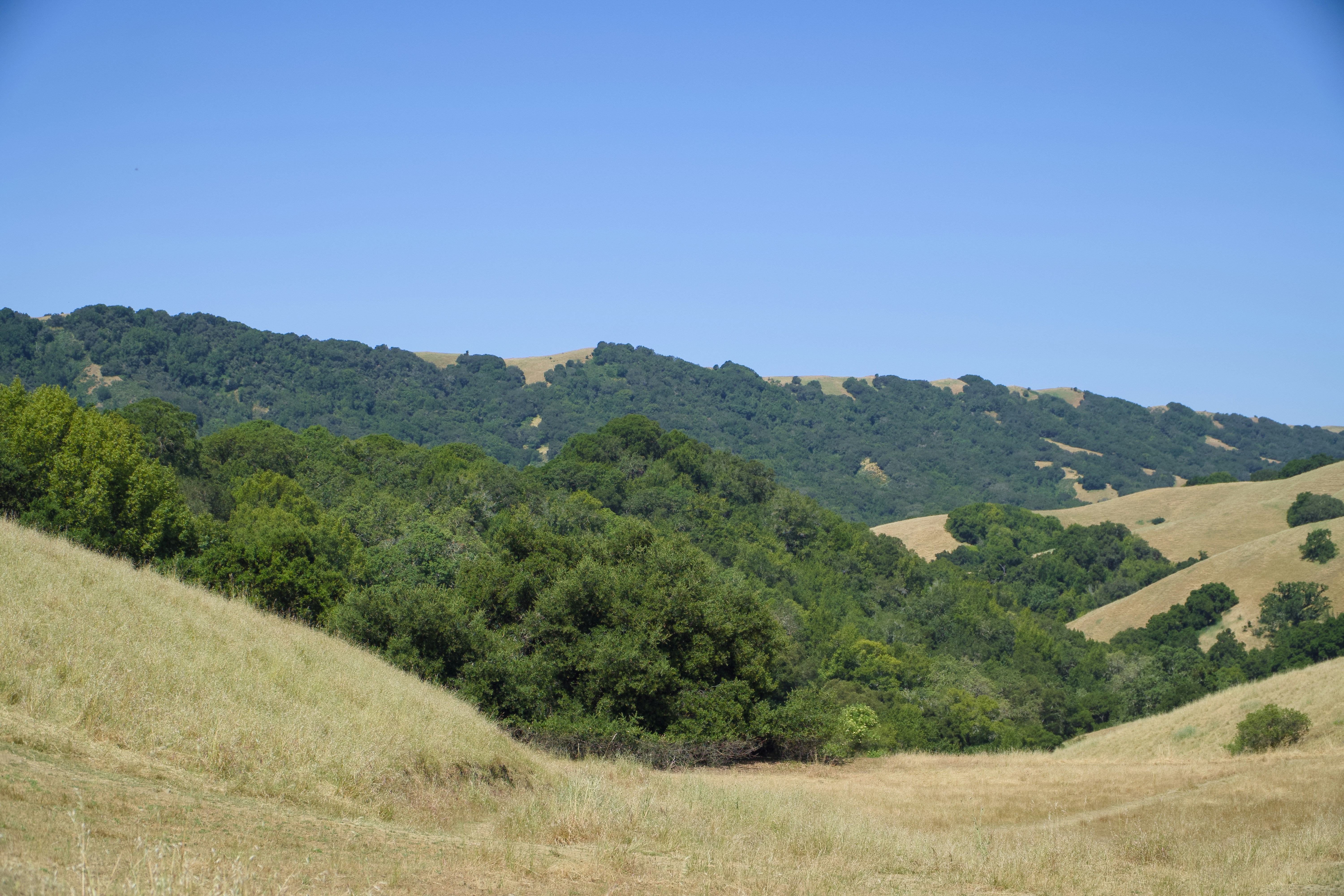 Photo by spencer_demera