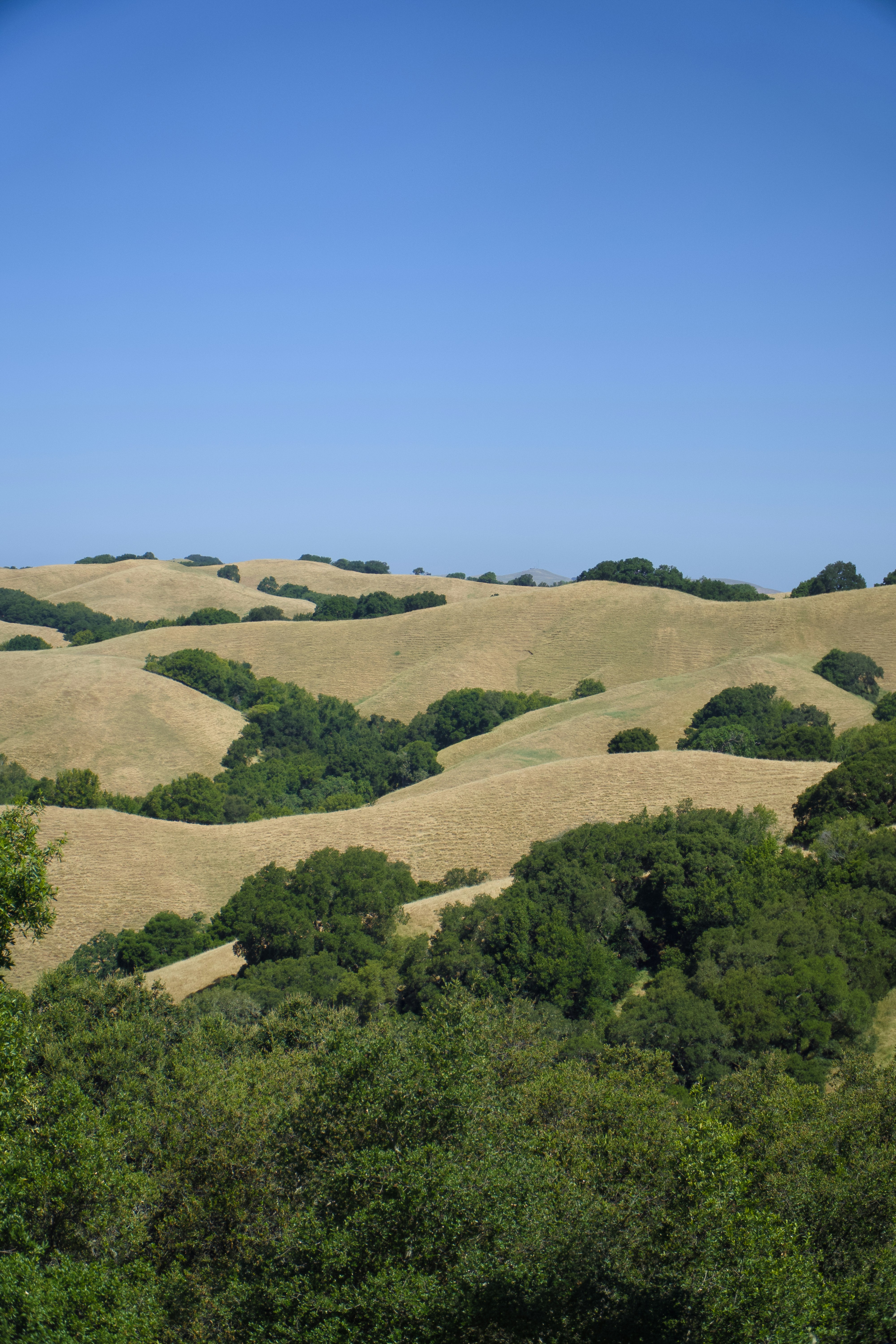 Photo by spencer_demera