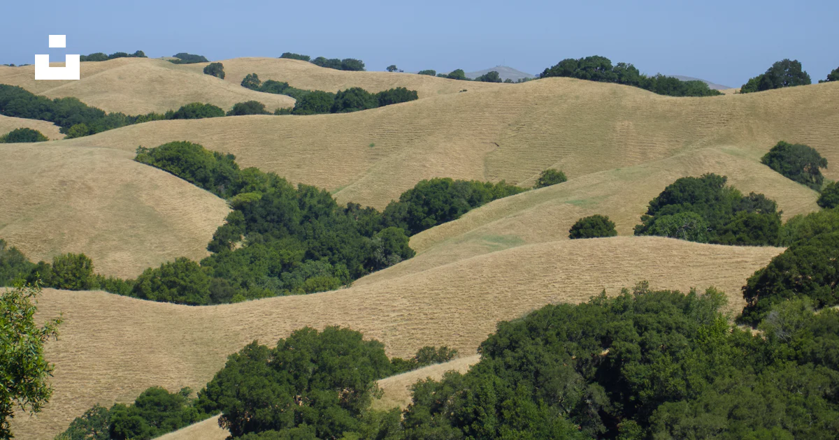 A View Of A Hilly Area With Trees In The Foreground Photo Free a-view-of-a-hilly-area-with-trees-in-the-foreground-photo-free