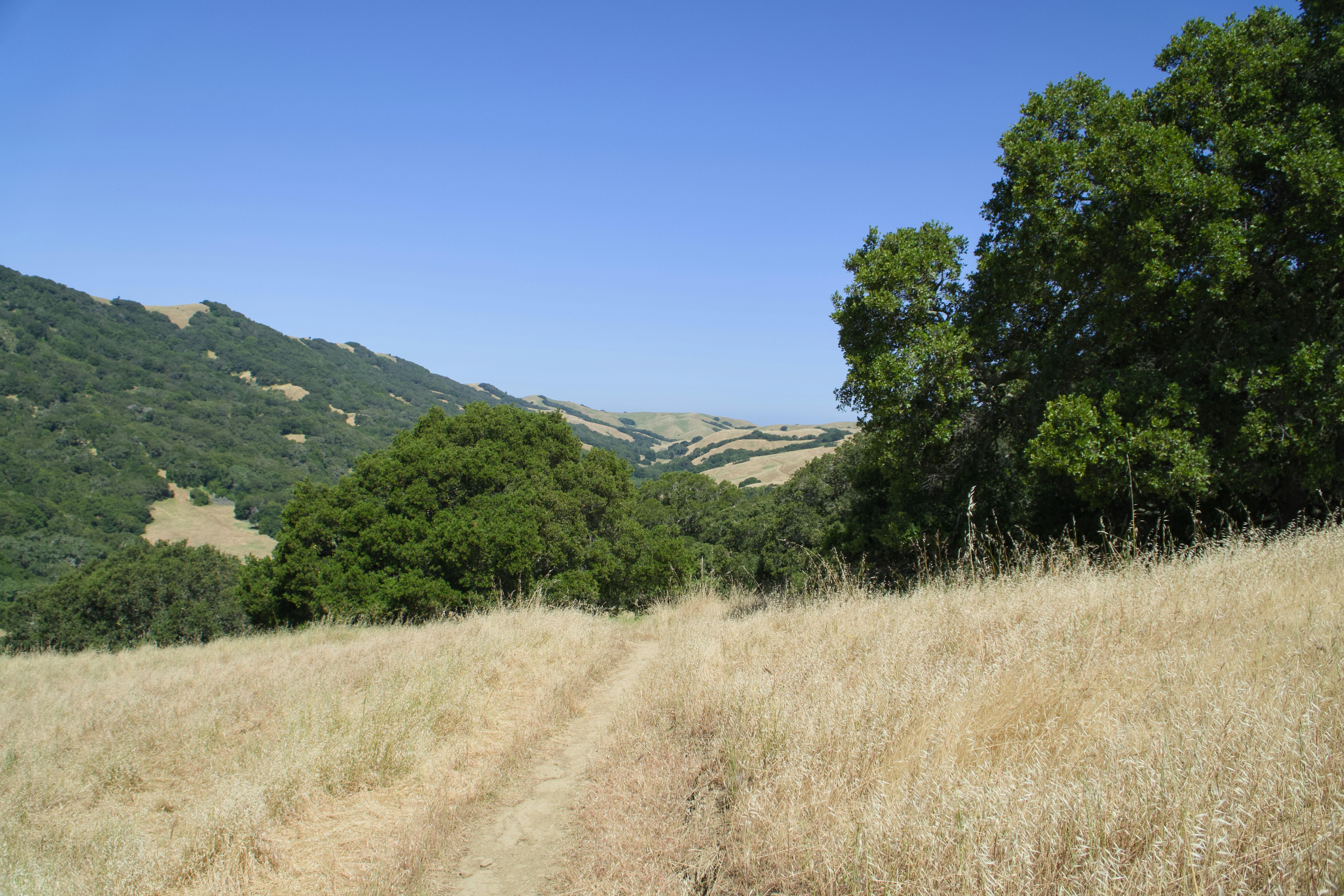 Photo by spencer_demera