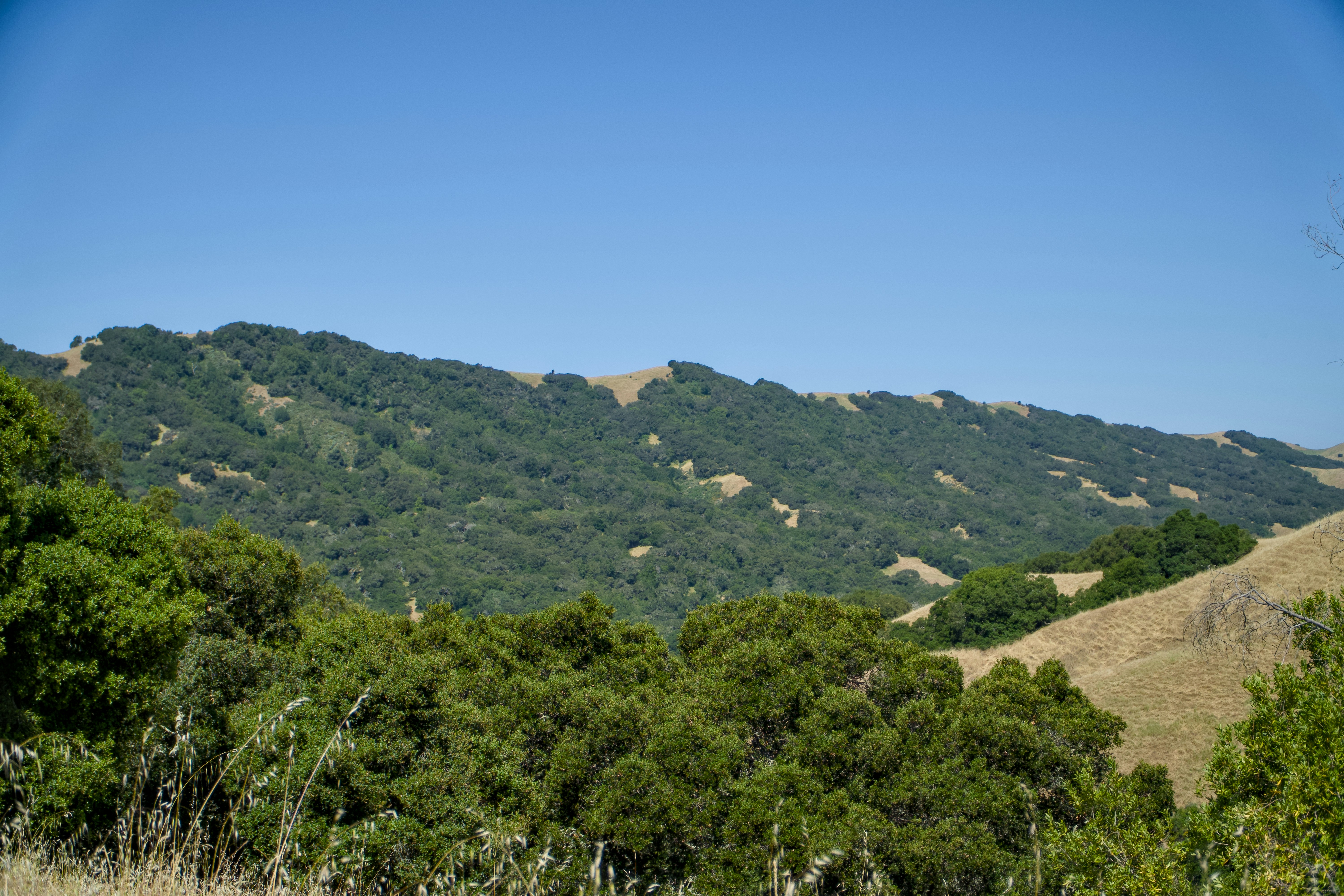 Photo by spencer_demera