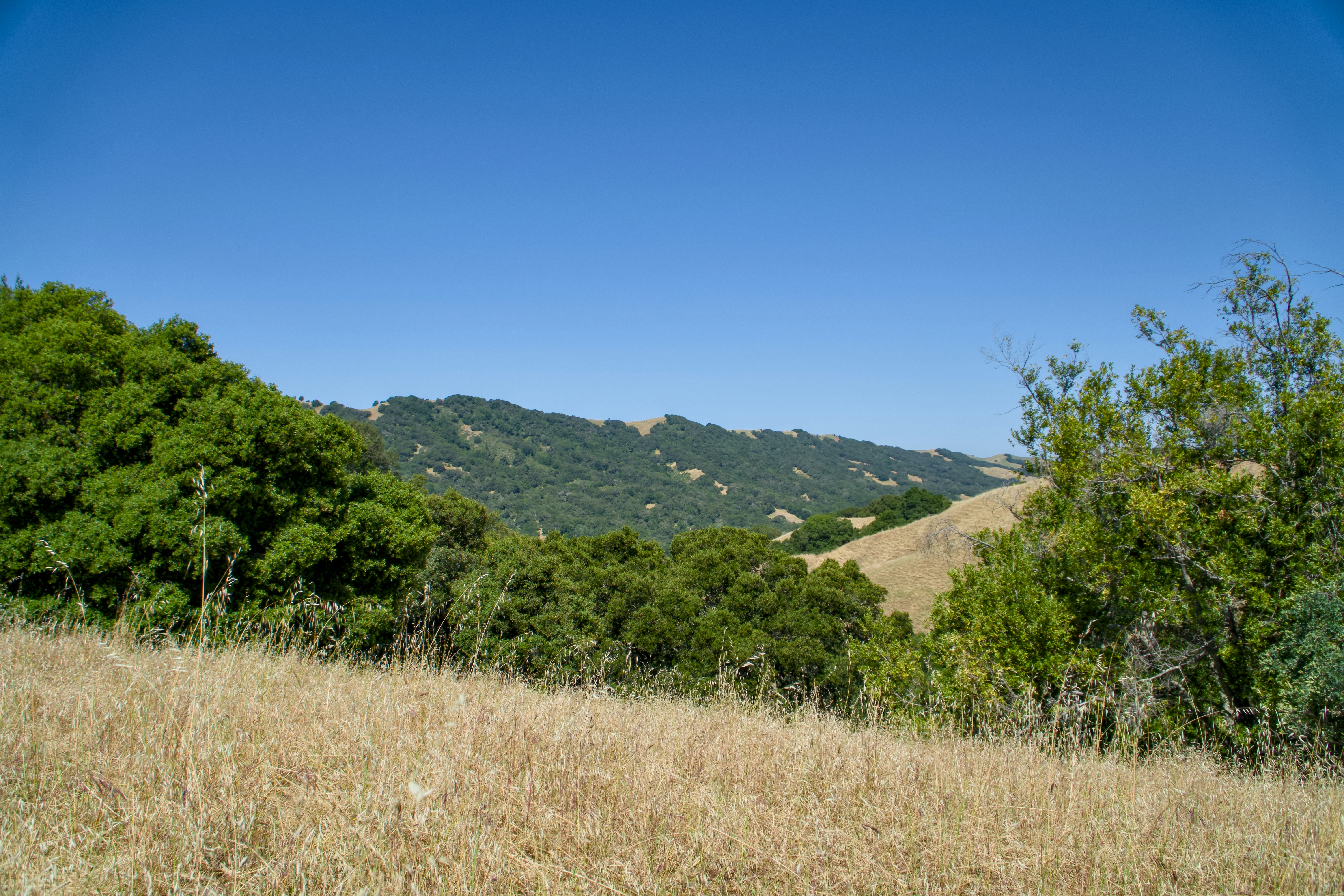 Photo by spencer_demera