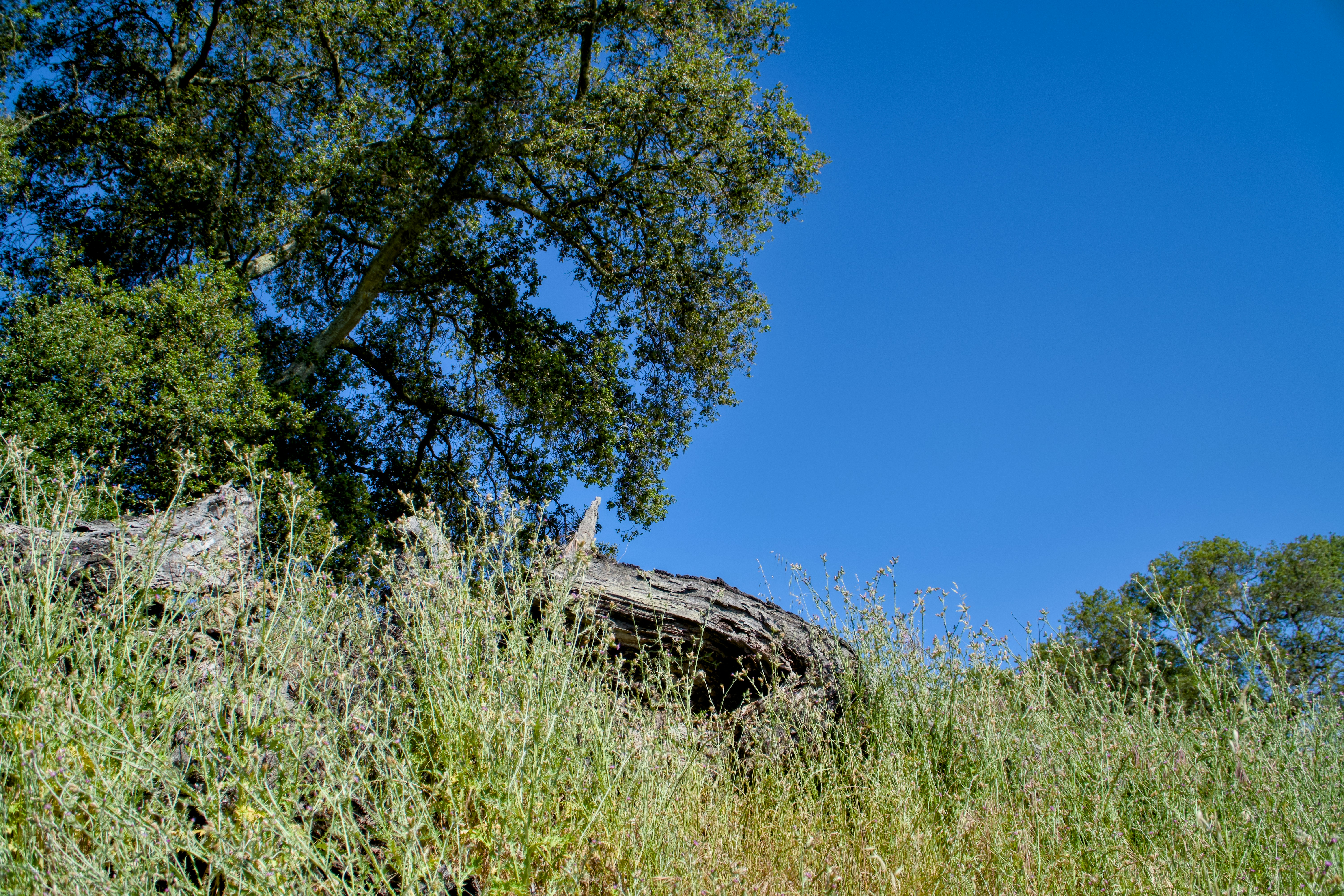 Photo by spencer_demera