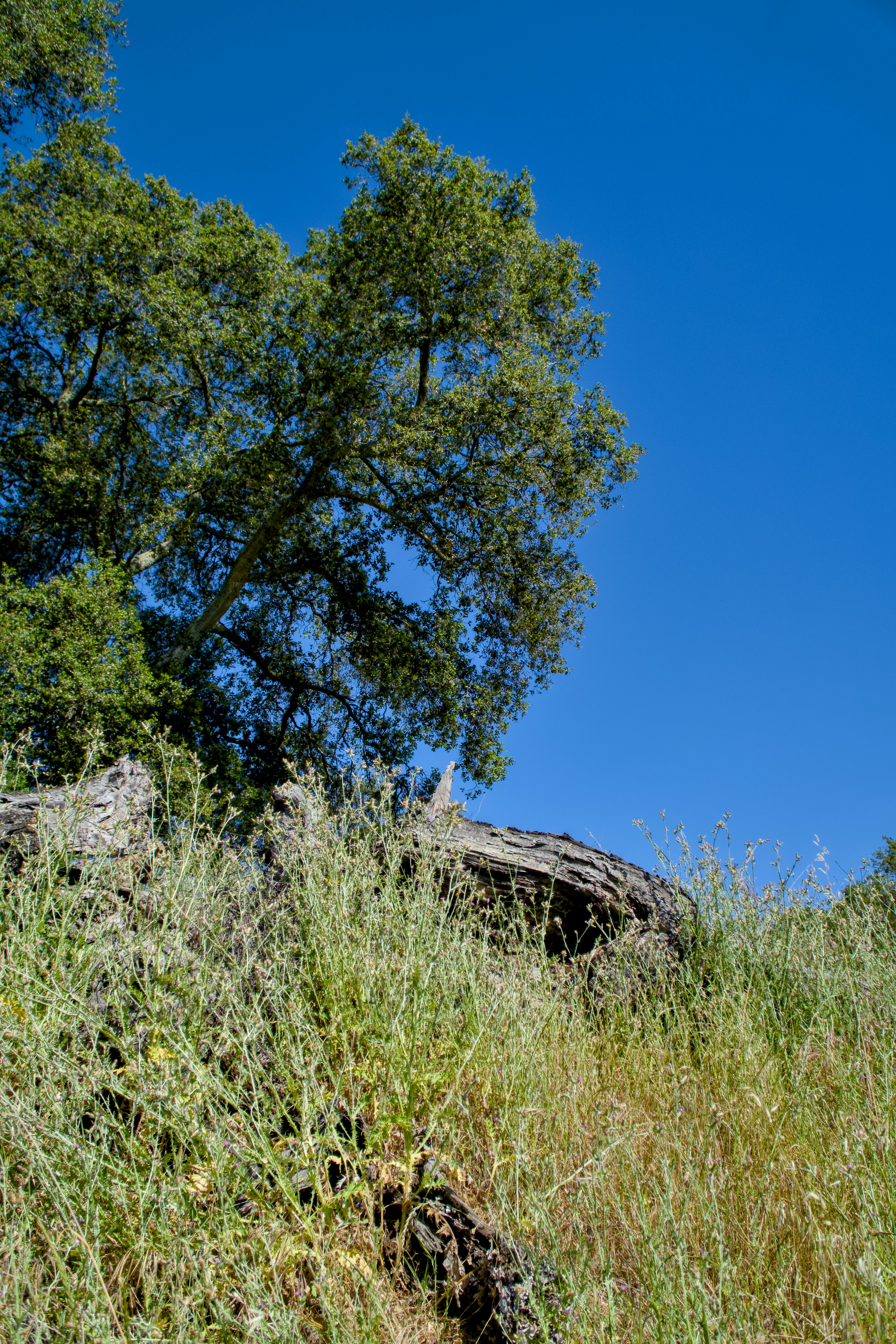 Photo by spencer_demera