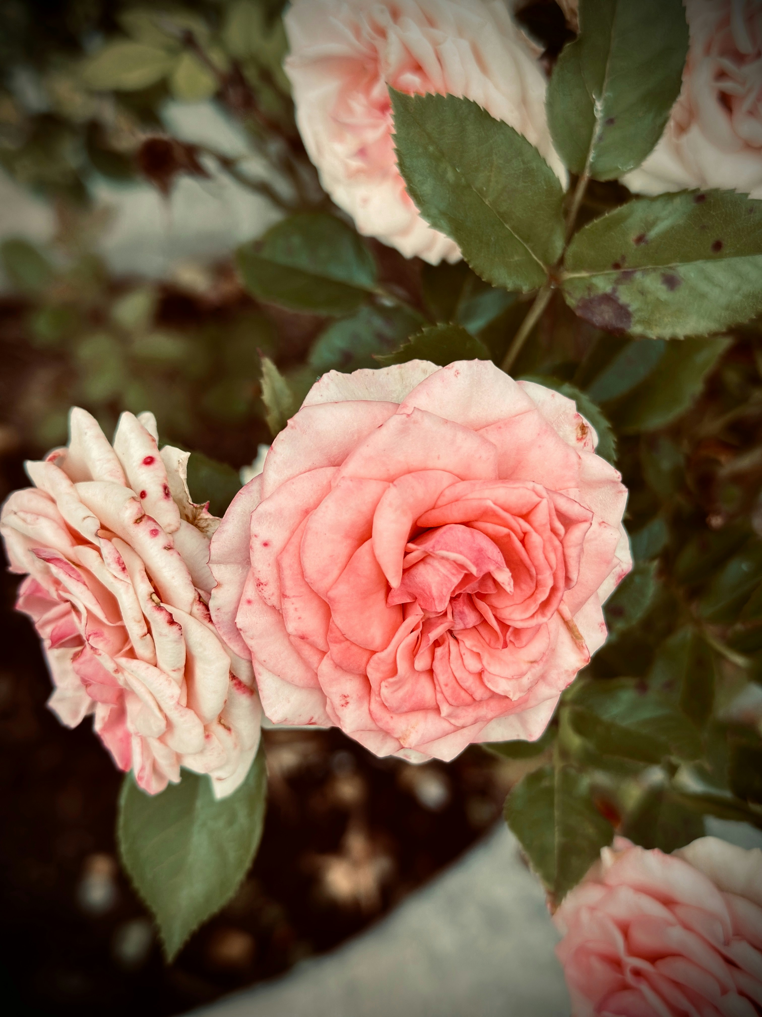 Photo by mdeepkandola