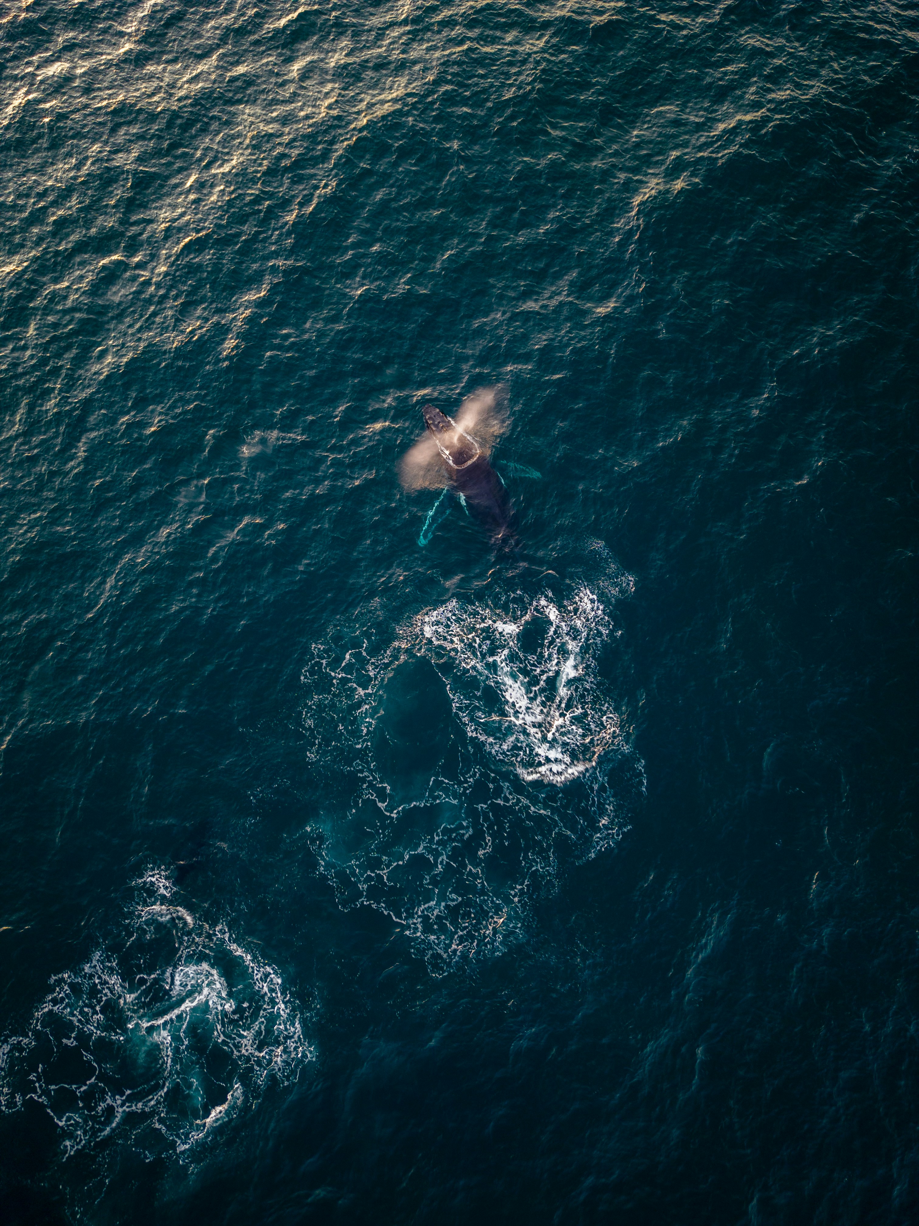 Photo by matt2806levi