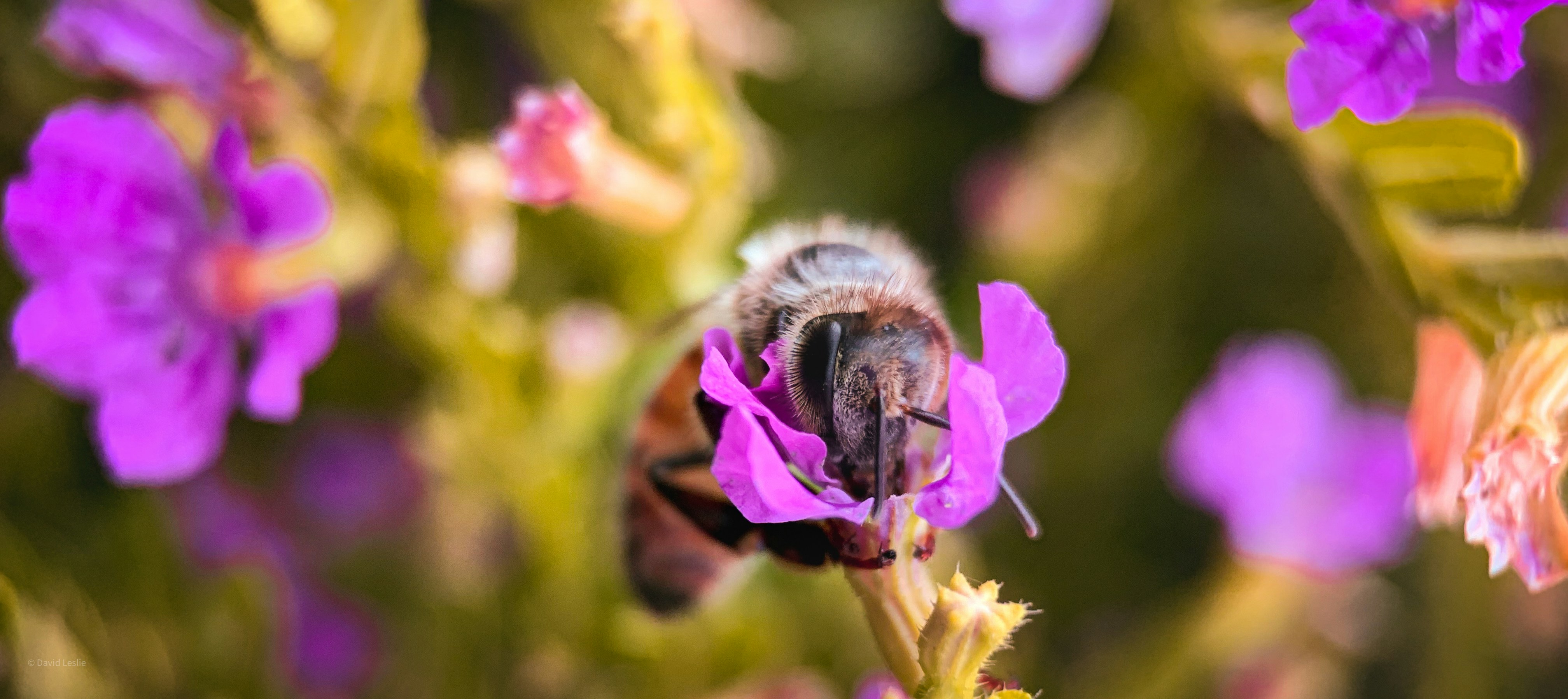 Photo by matt2806levi