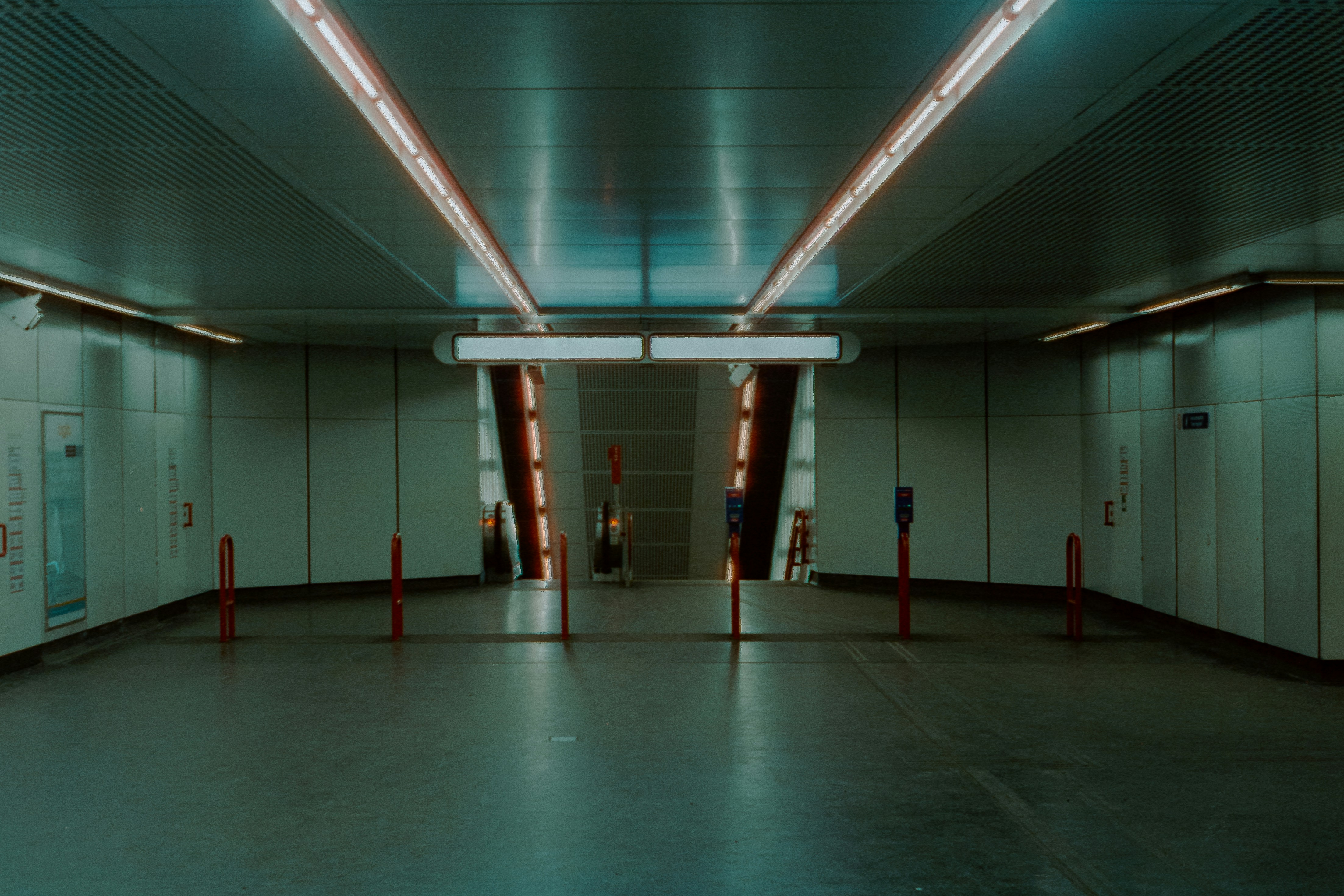 Photo by ivans_in_danger