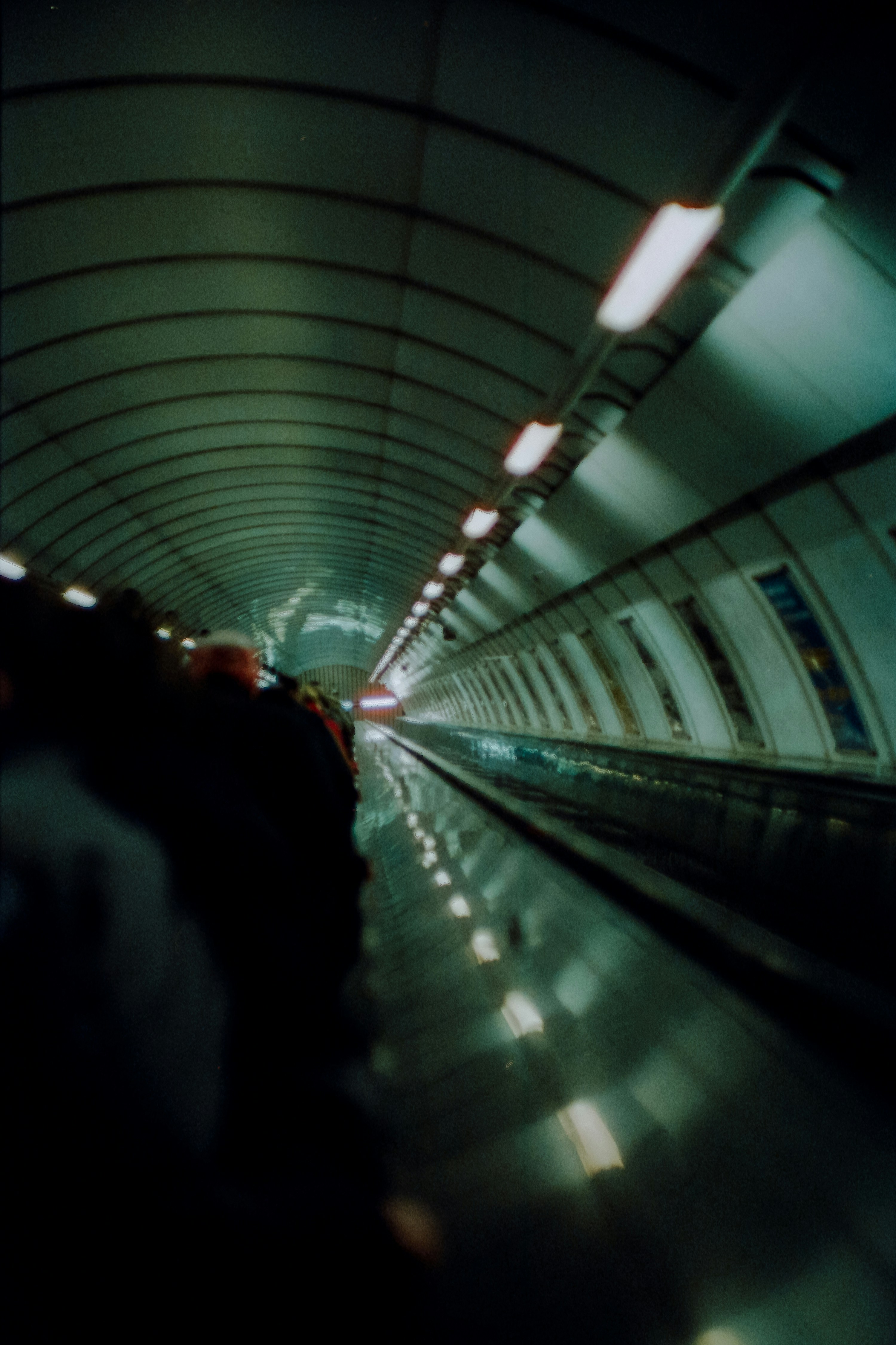 Photo by ivans_in_danger