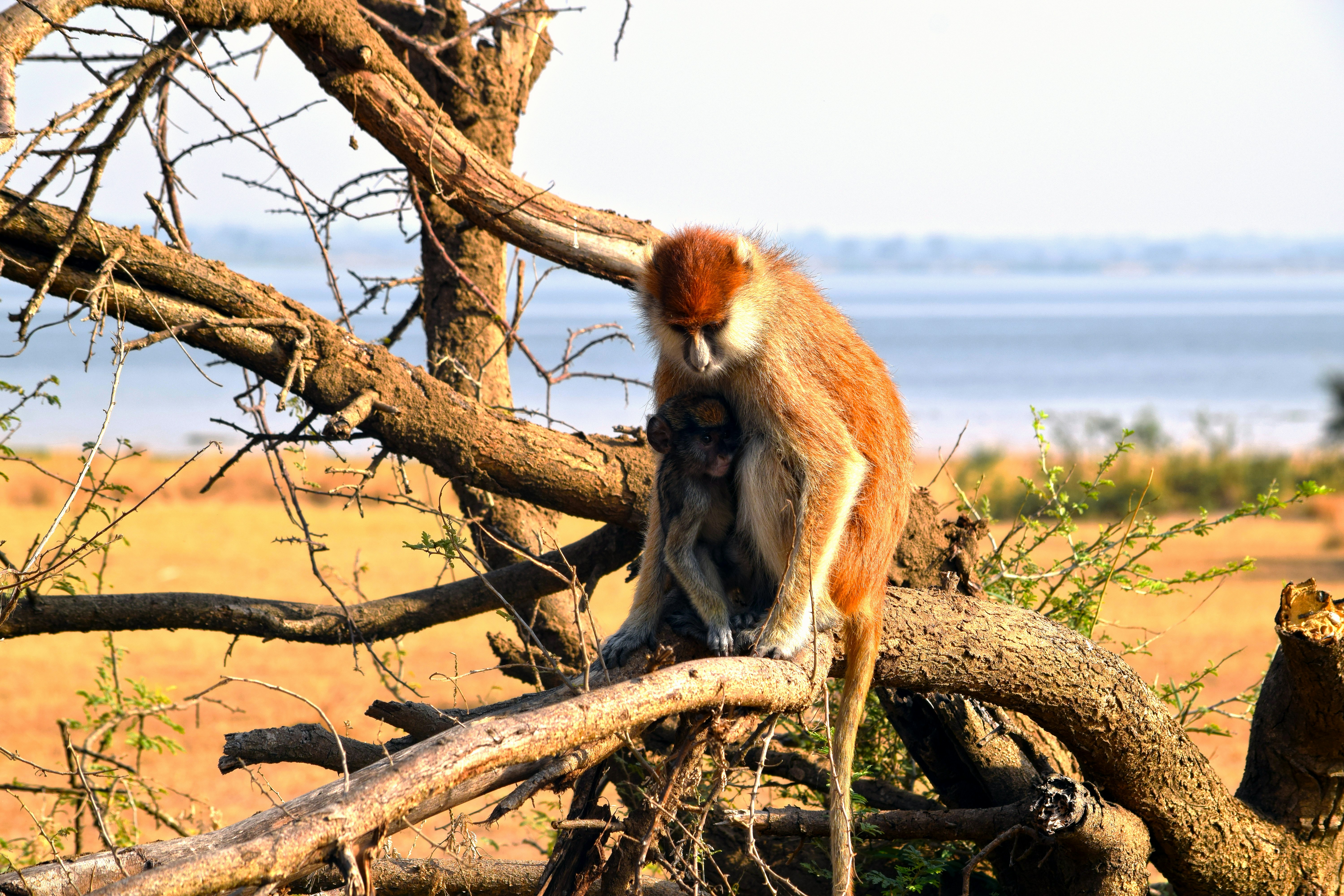 Photo by mocream_coffee