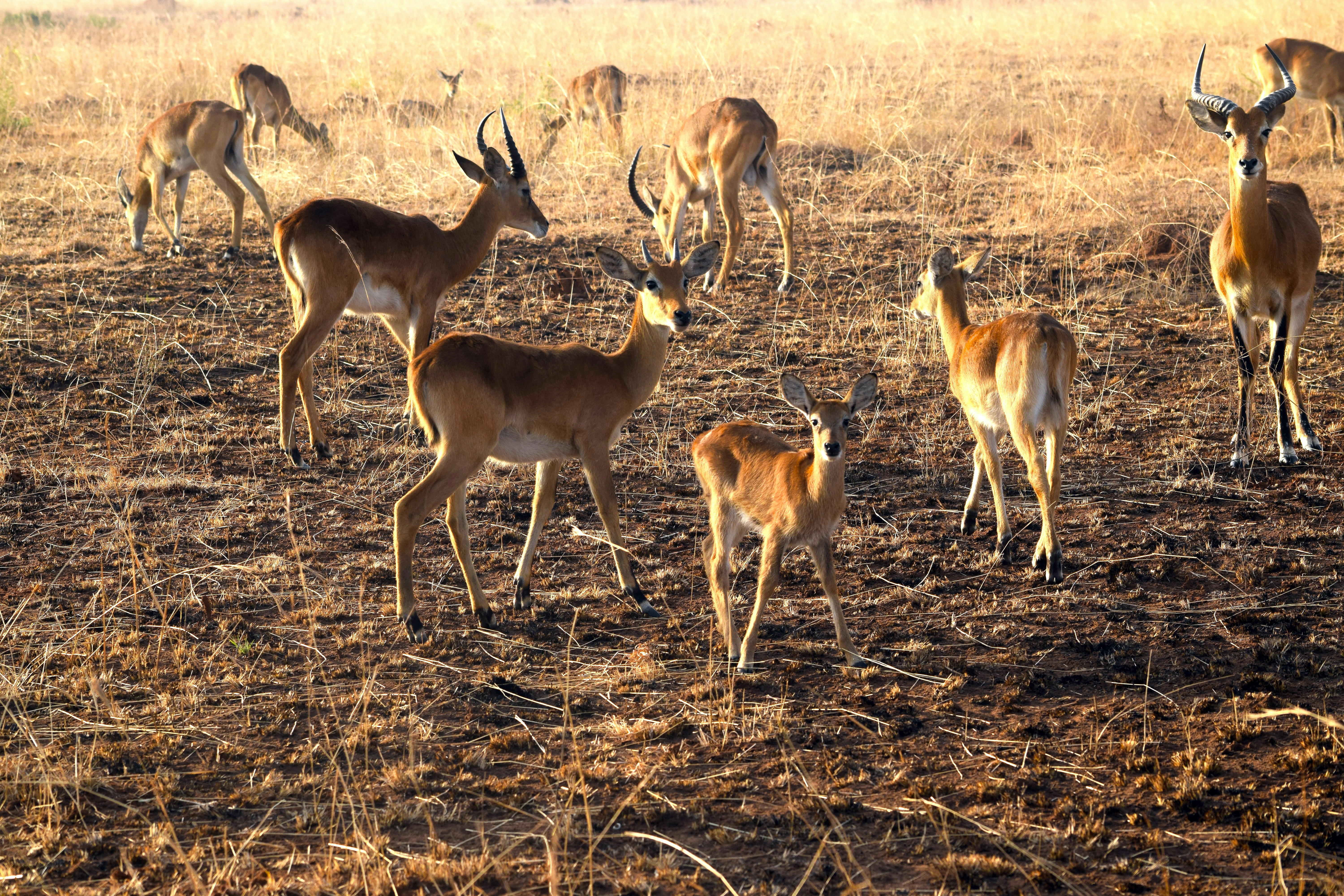 Photo by mocream_coffee