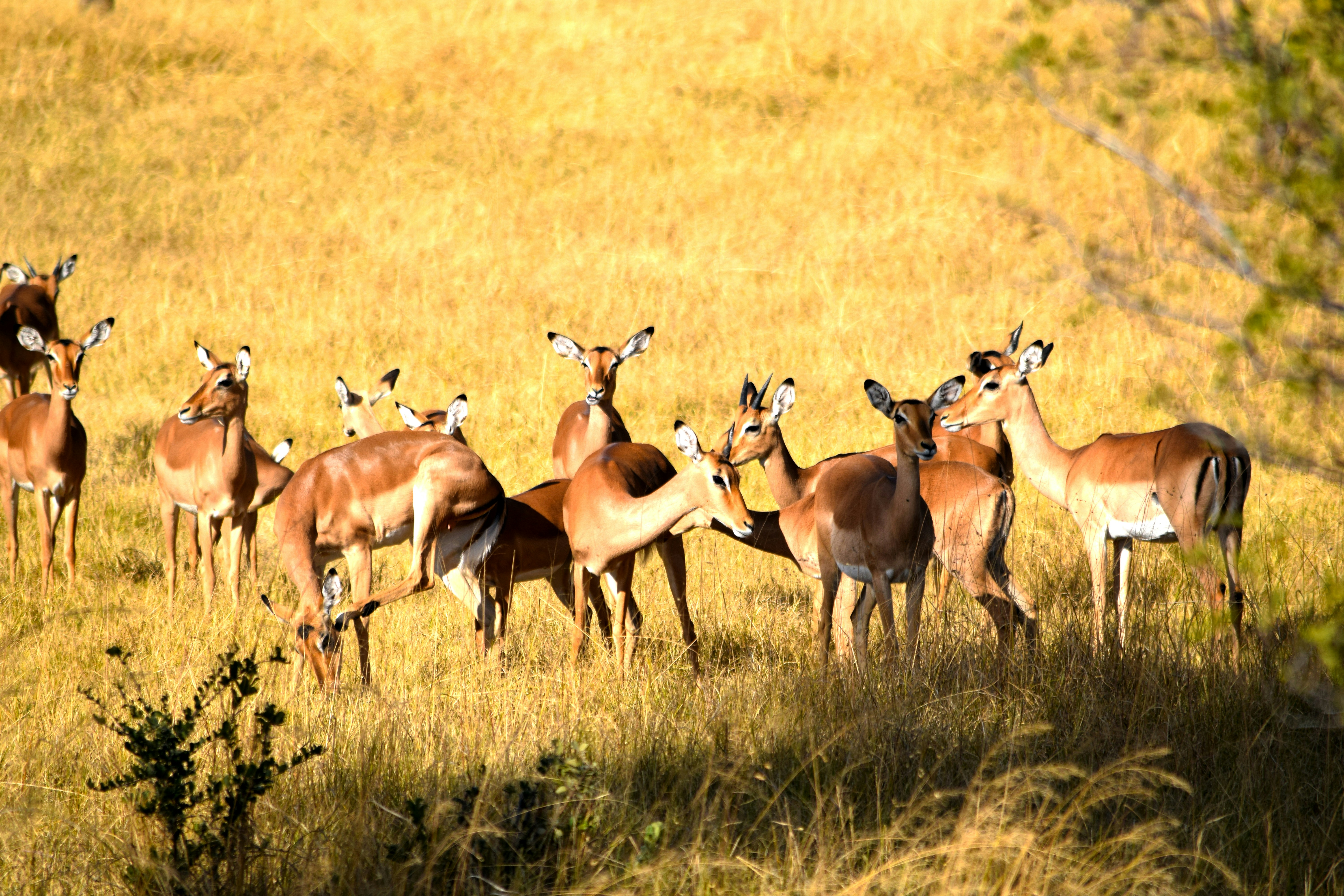 Photo by mocream_coffee