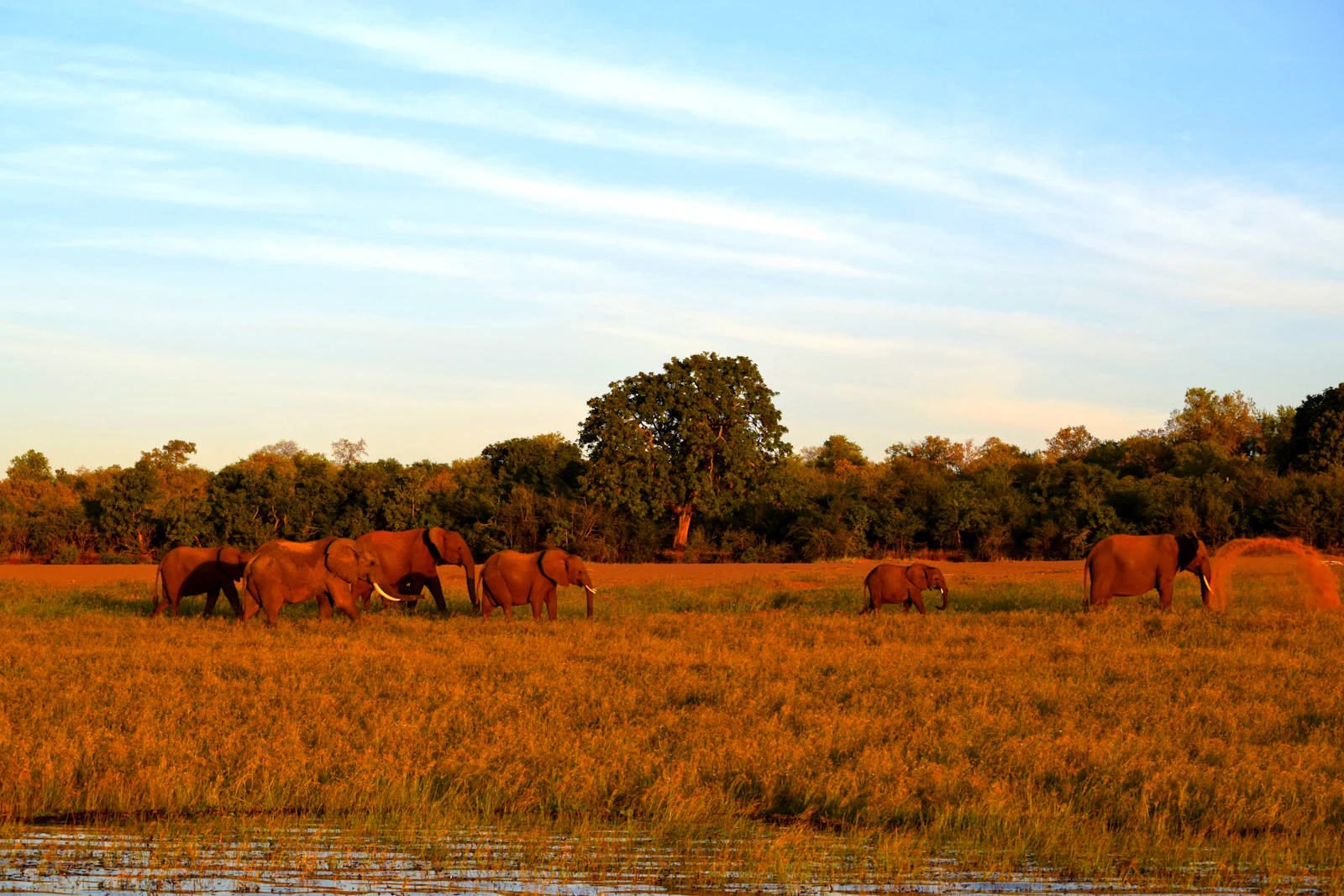 Singita Pamushana Lodge
