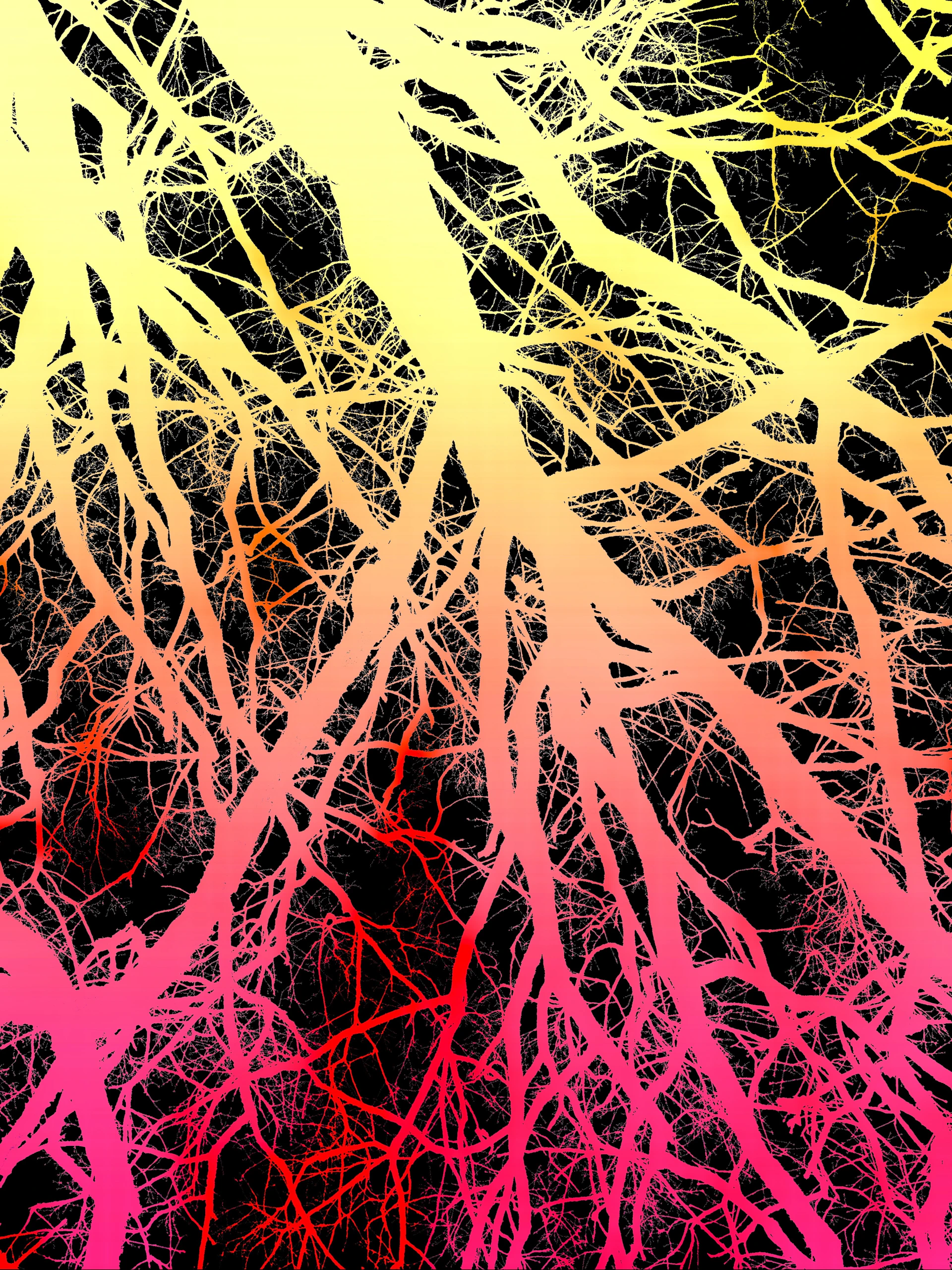 A painting of a tree with pink and yellow branches