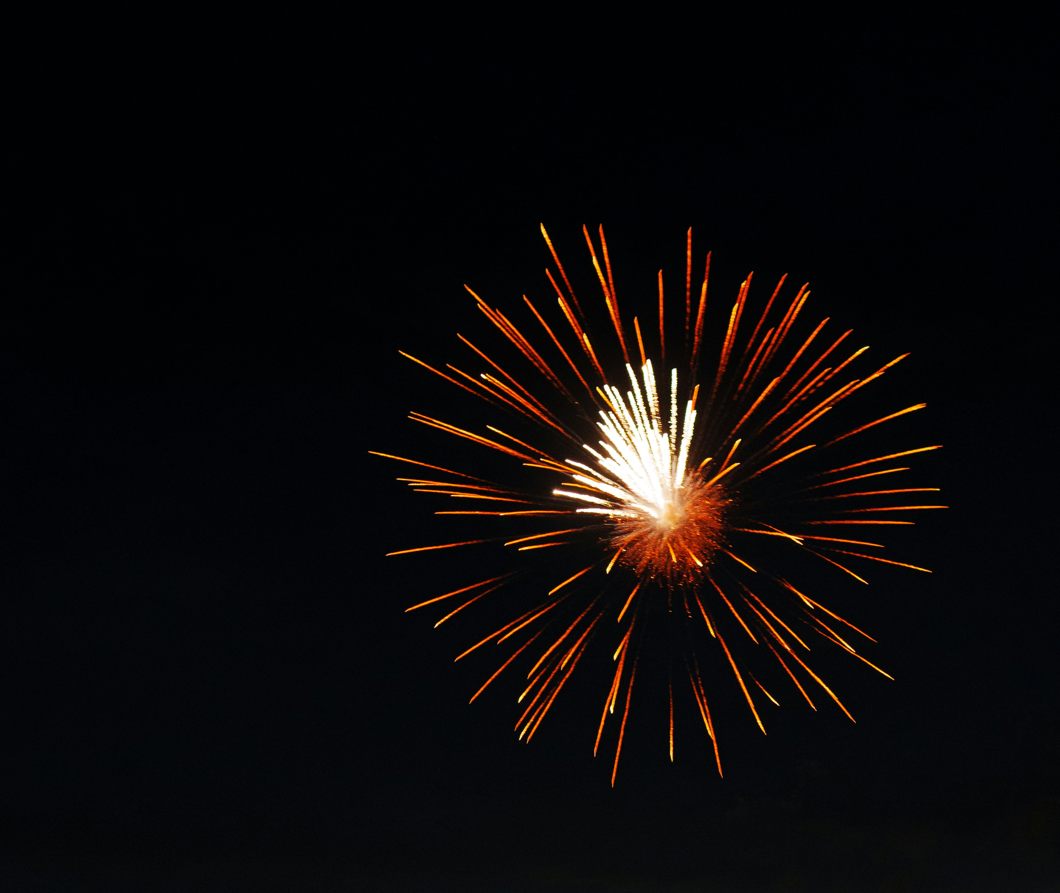 A firework display in the night sky