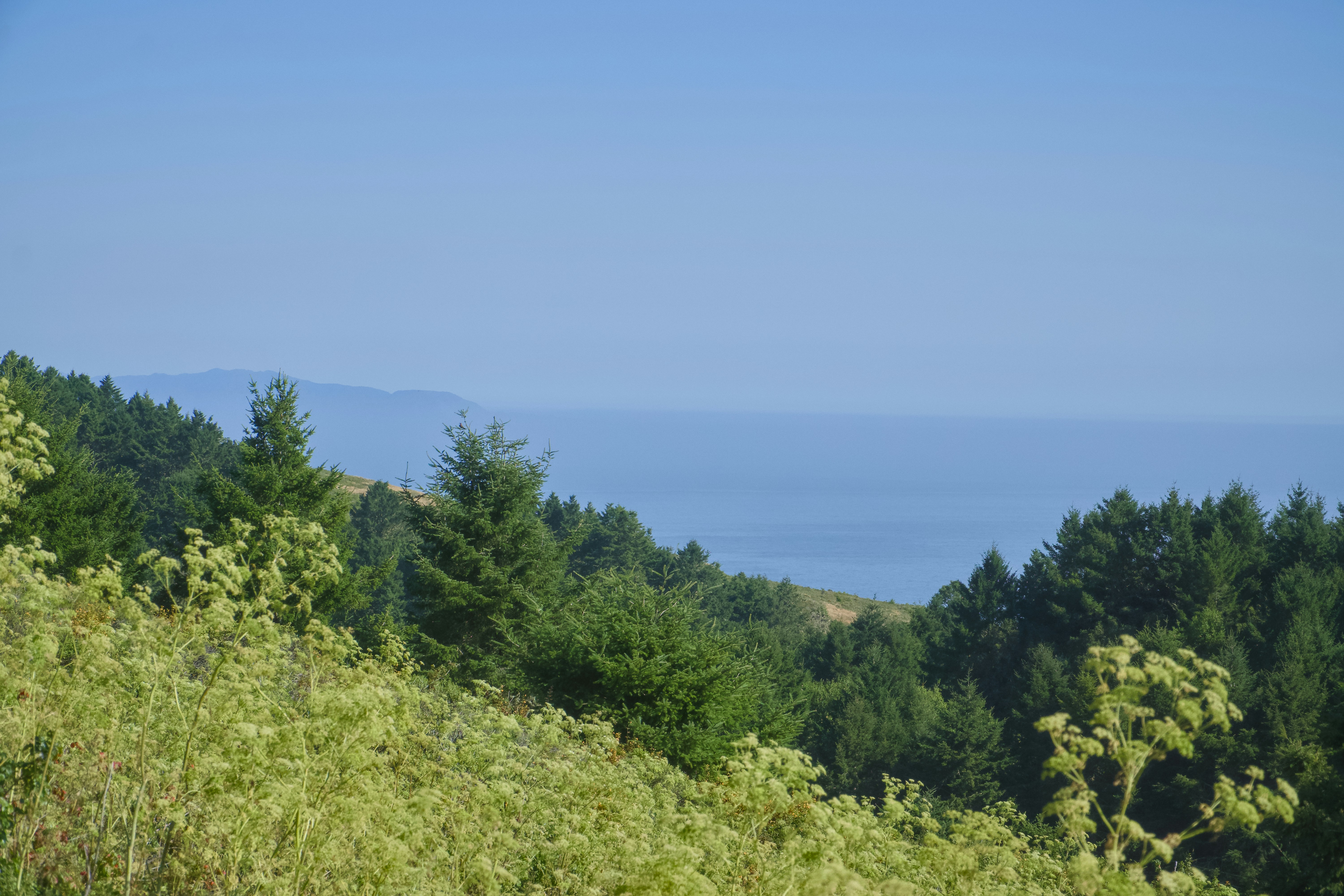 Photo by spencer_demera