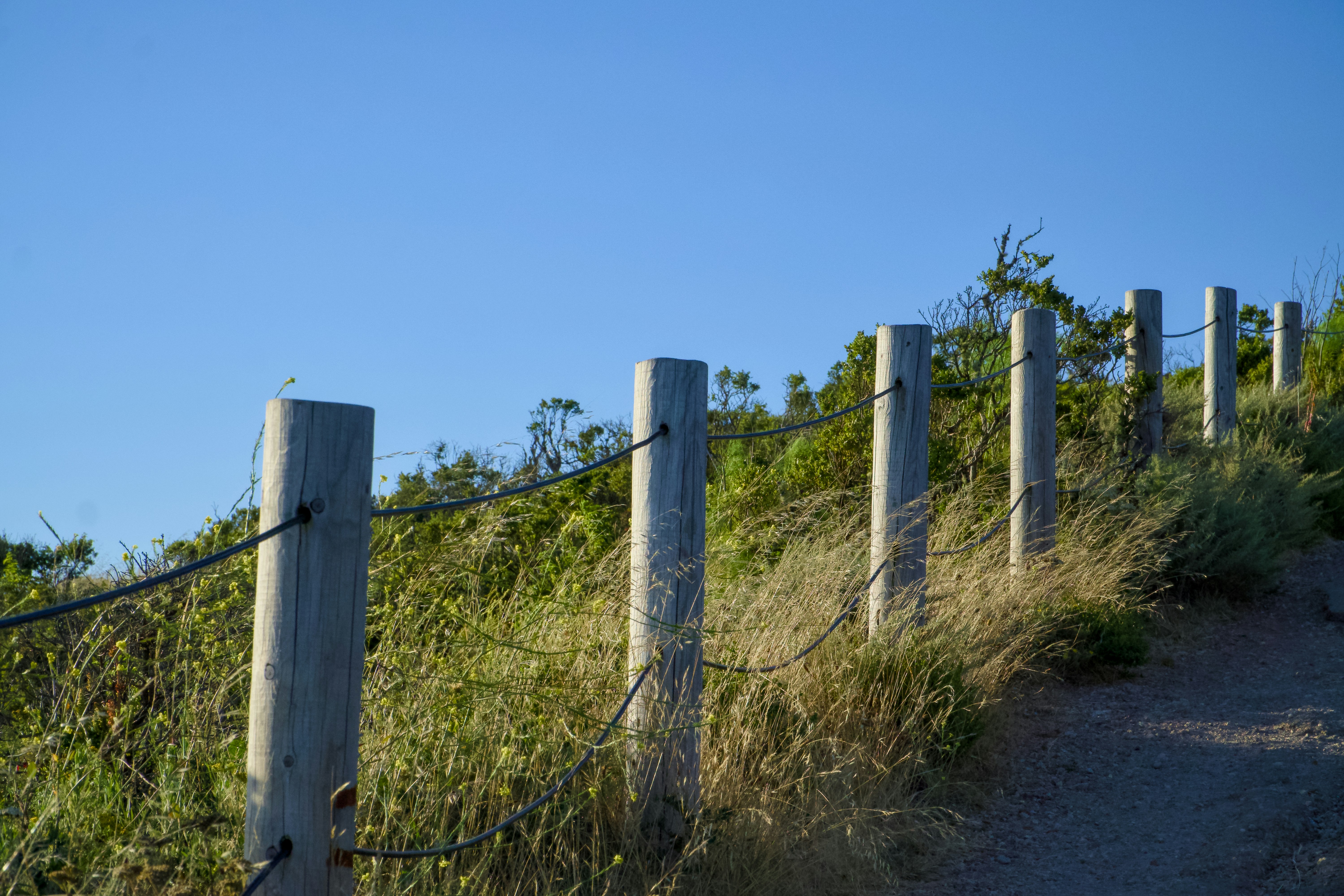 Photo by spencer_demera