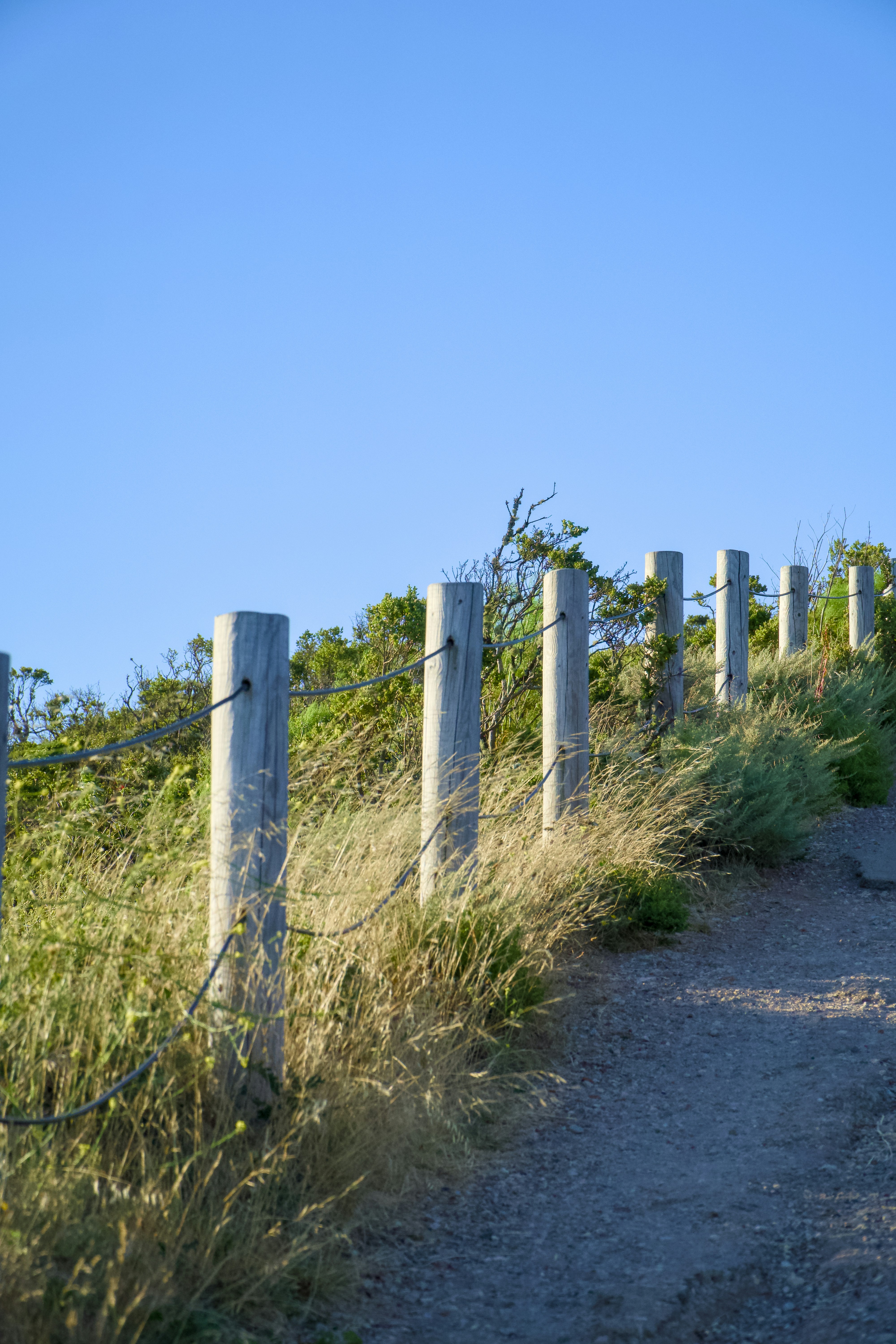 Photo by spencer_demera