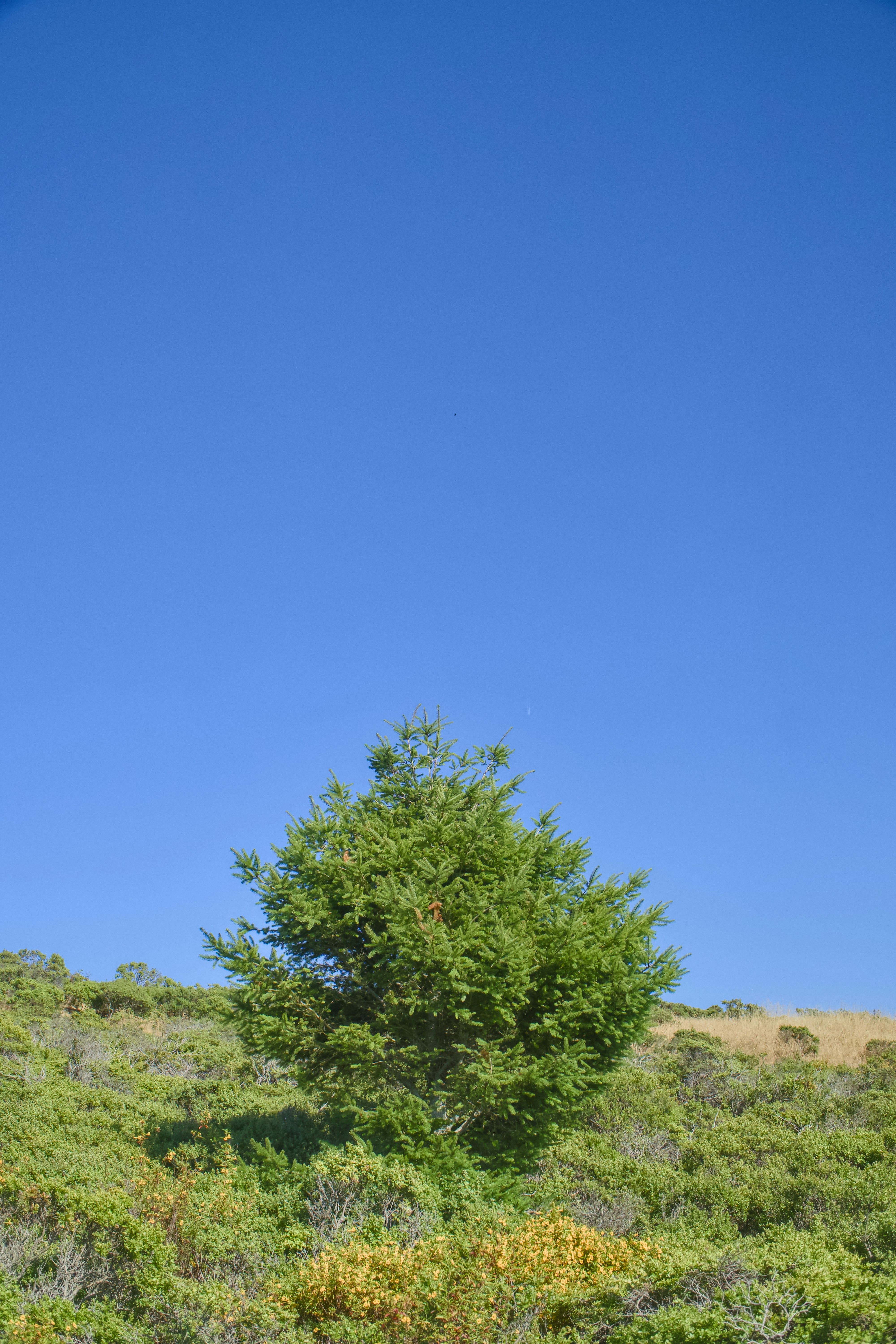 Photo by spencer_demera