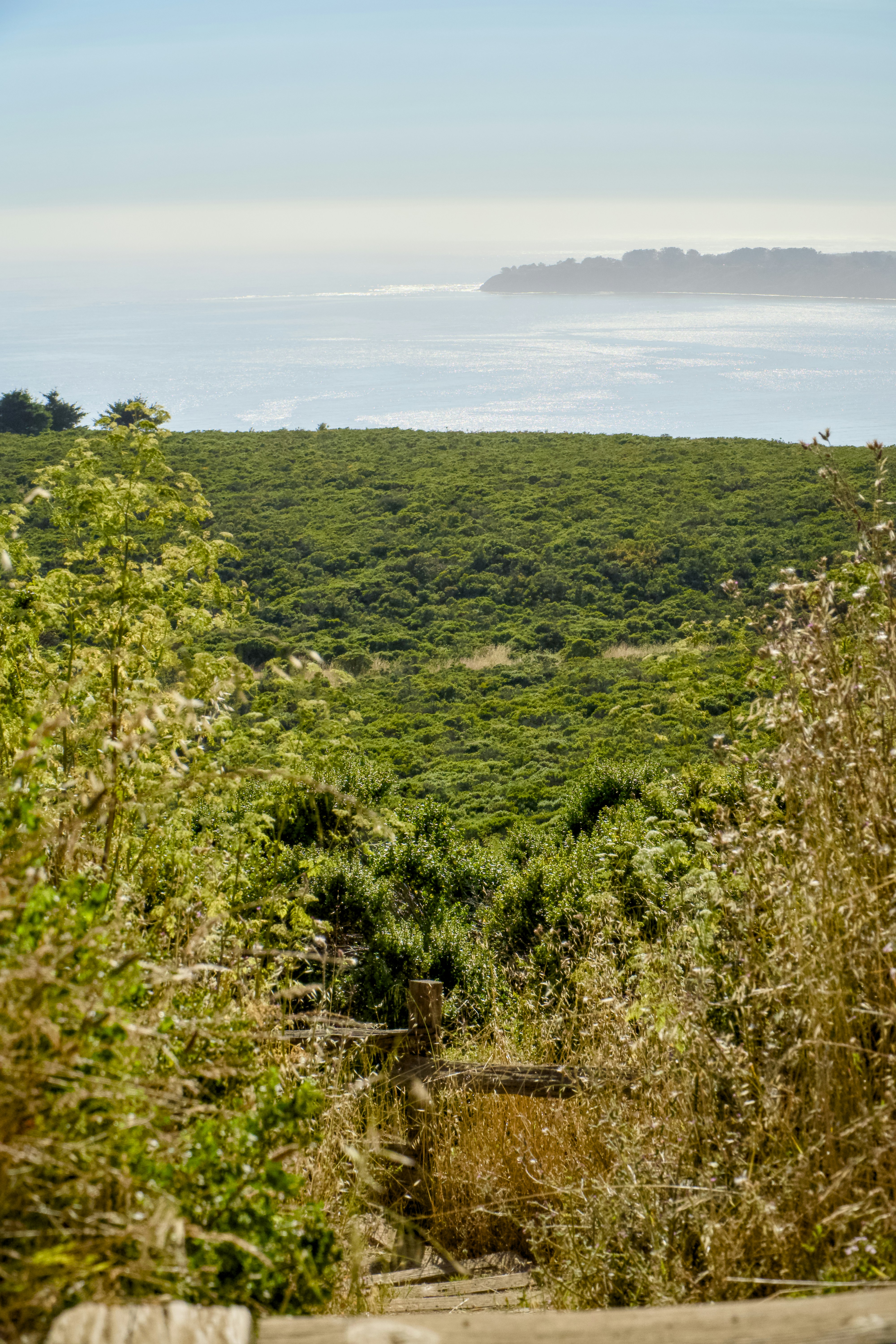 Photo by spencer_demera