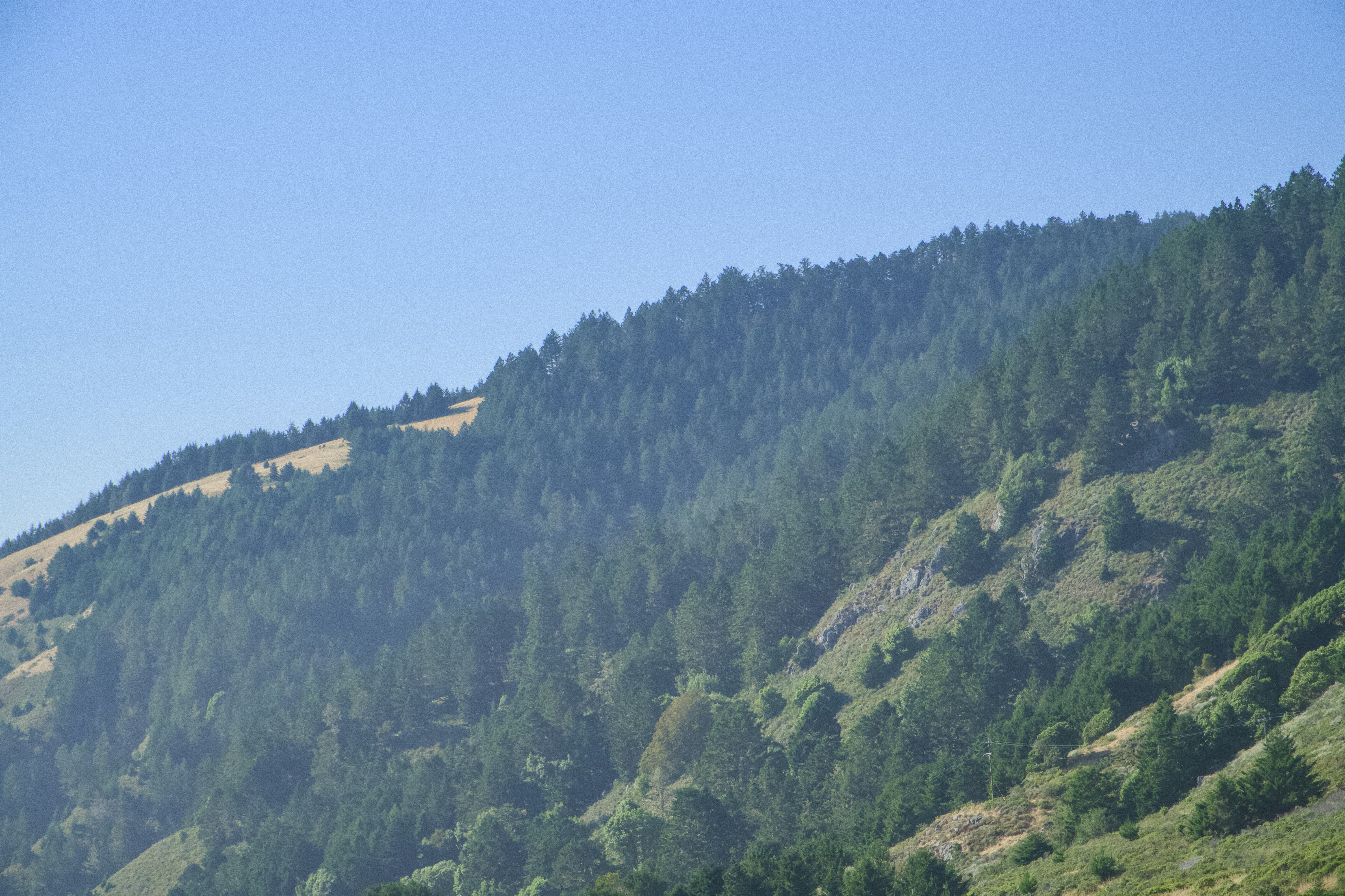 Photo by spencer_demera