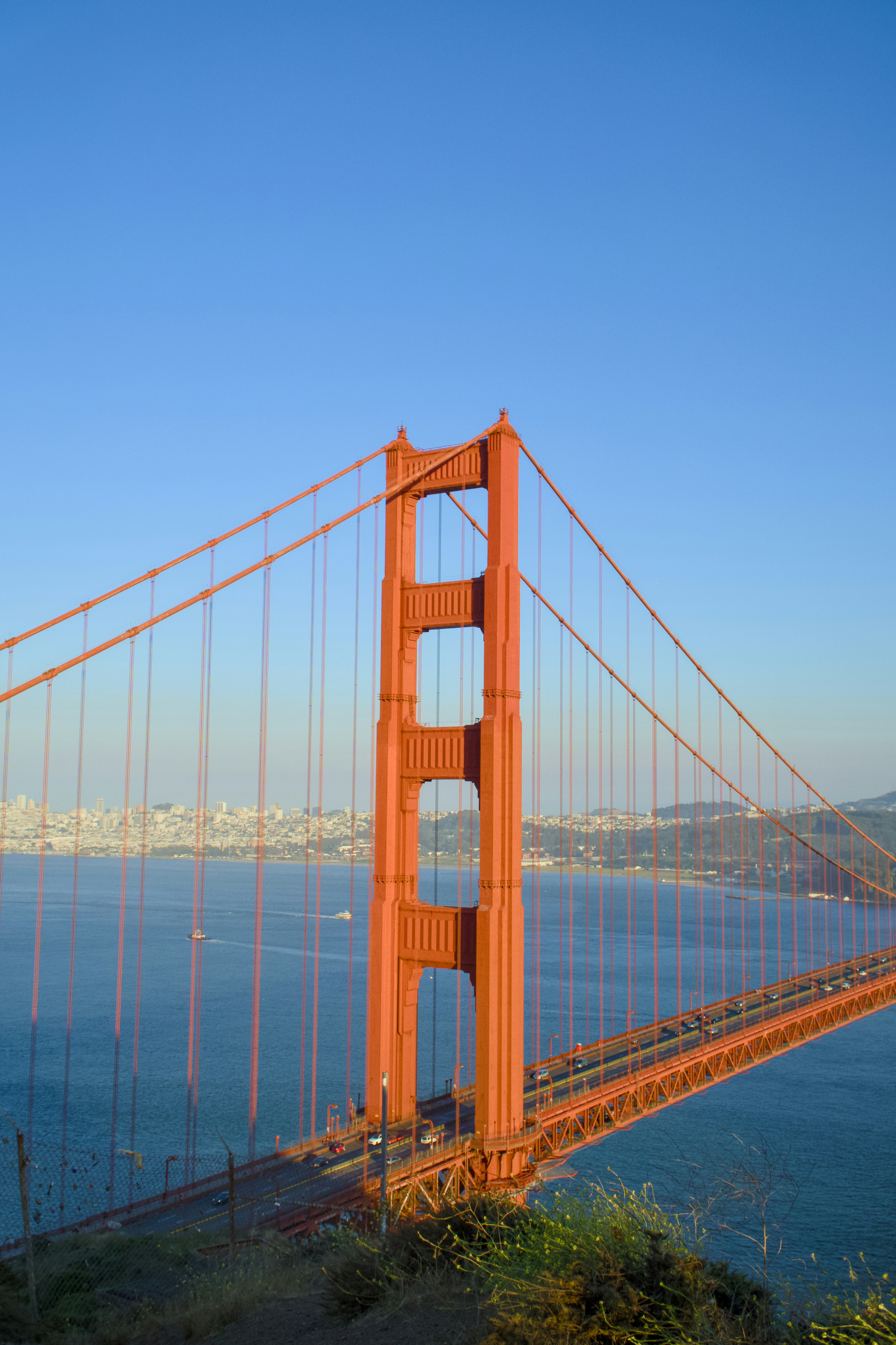 Photo by spencer_demera