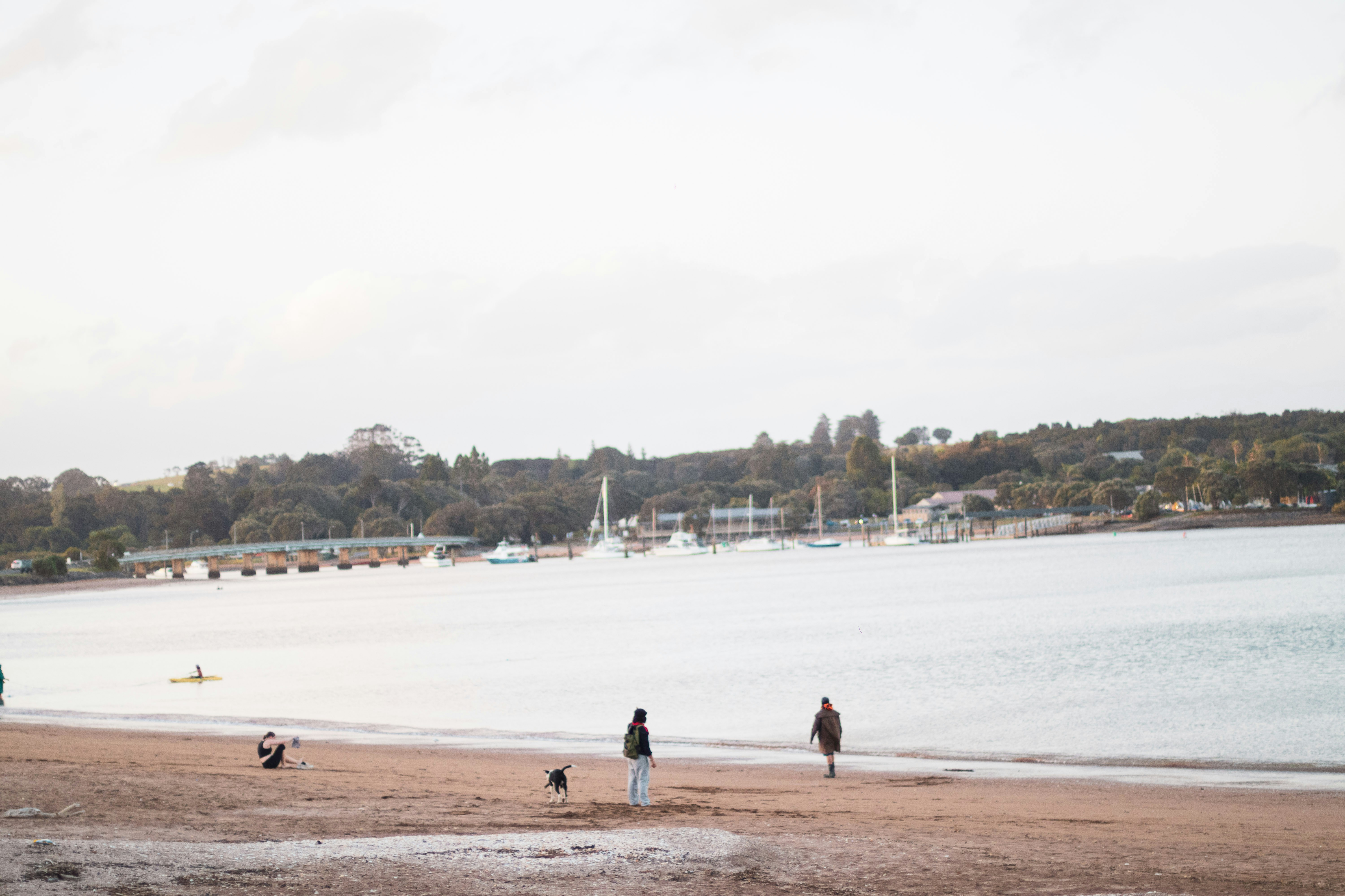 A group of people standing on top of a sandy beach