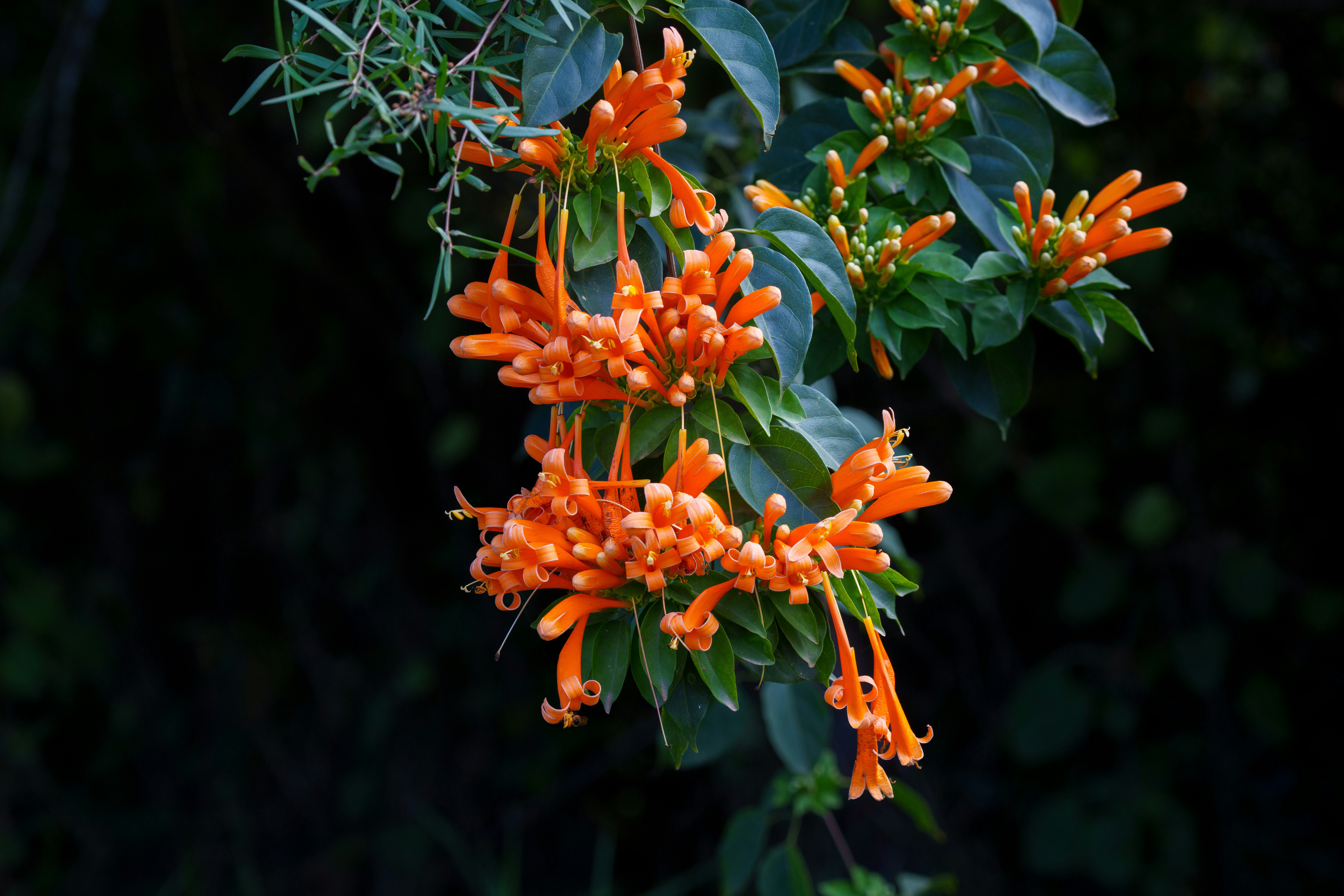 Photo by lloyd_williams