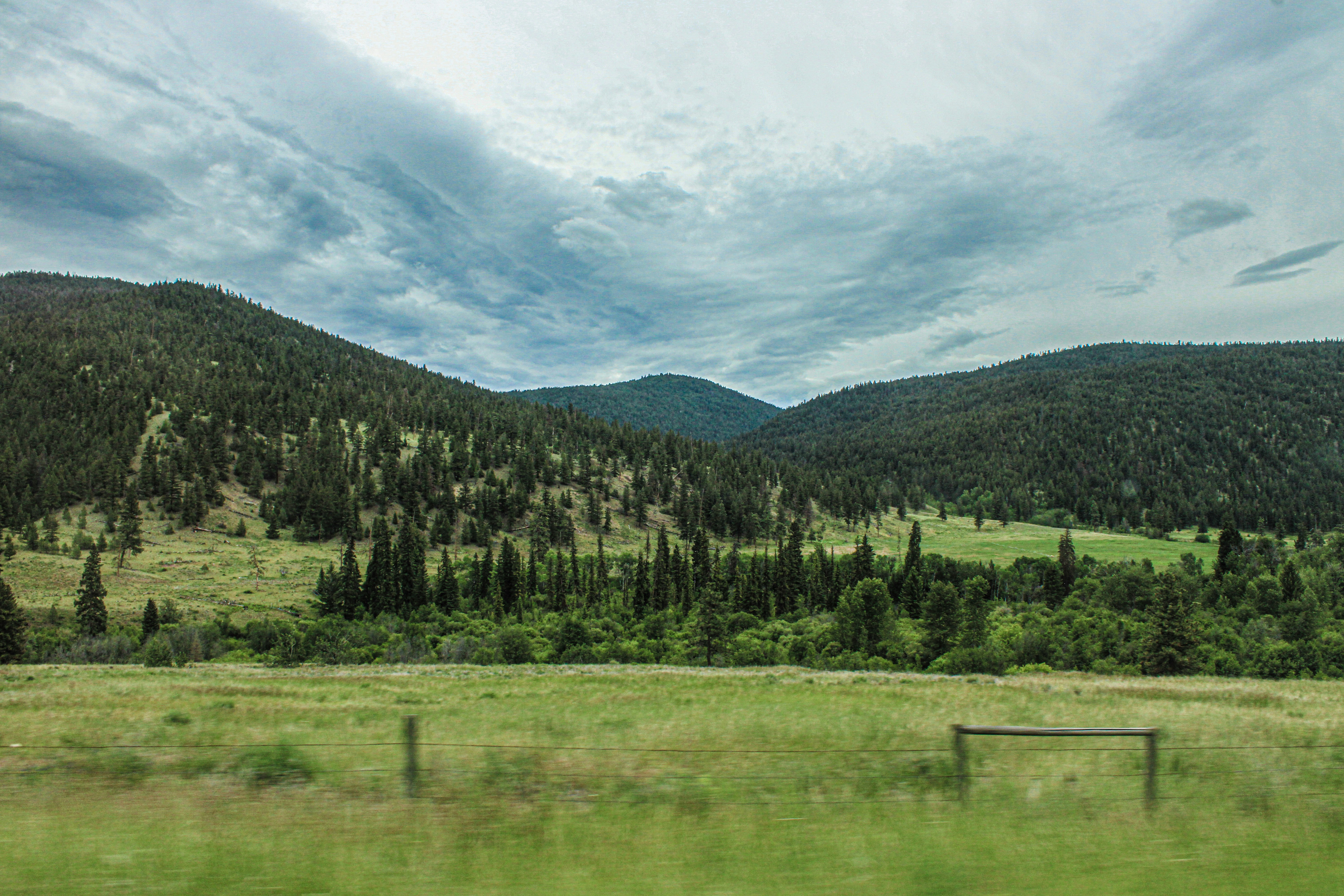 A scenic view of a grassy field and mountains