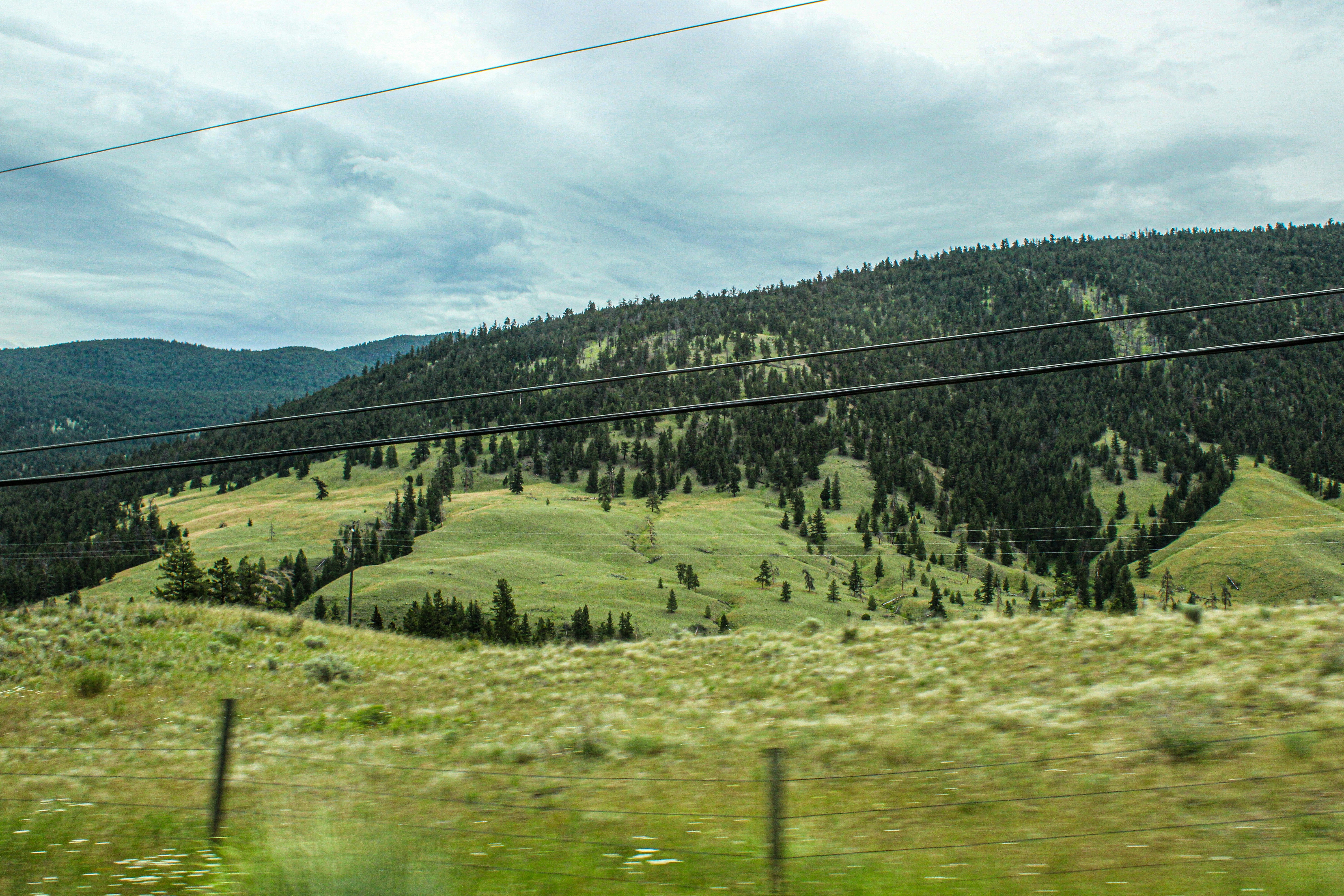 Photo by prphotography262