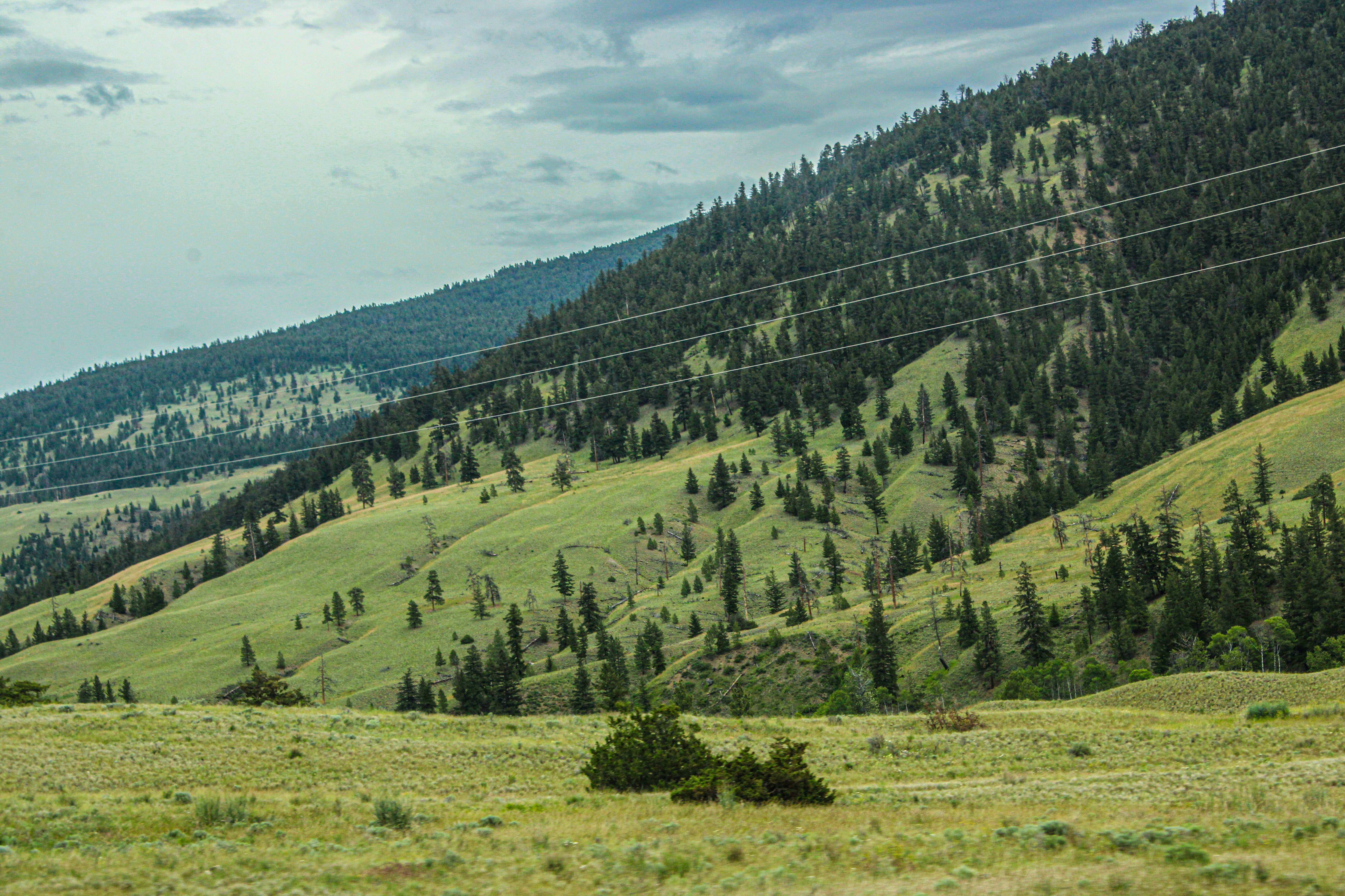 Photo by prphotography262