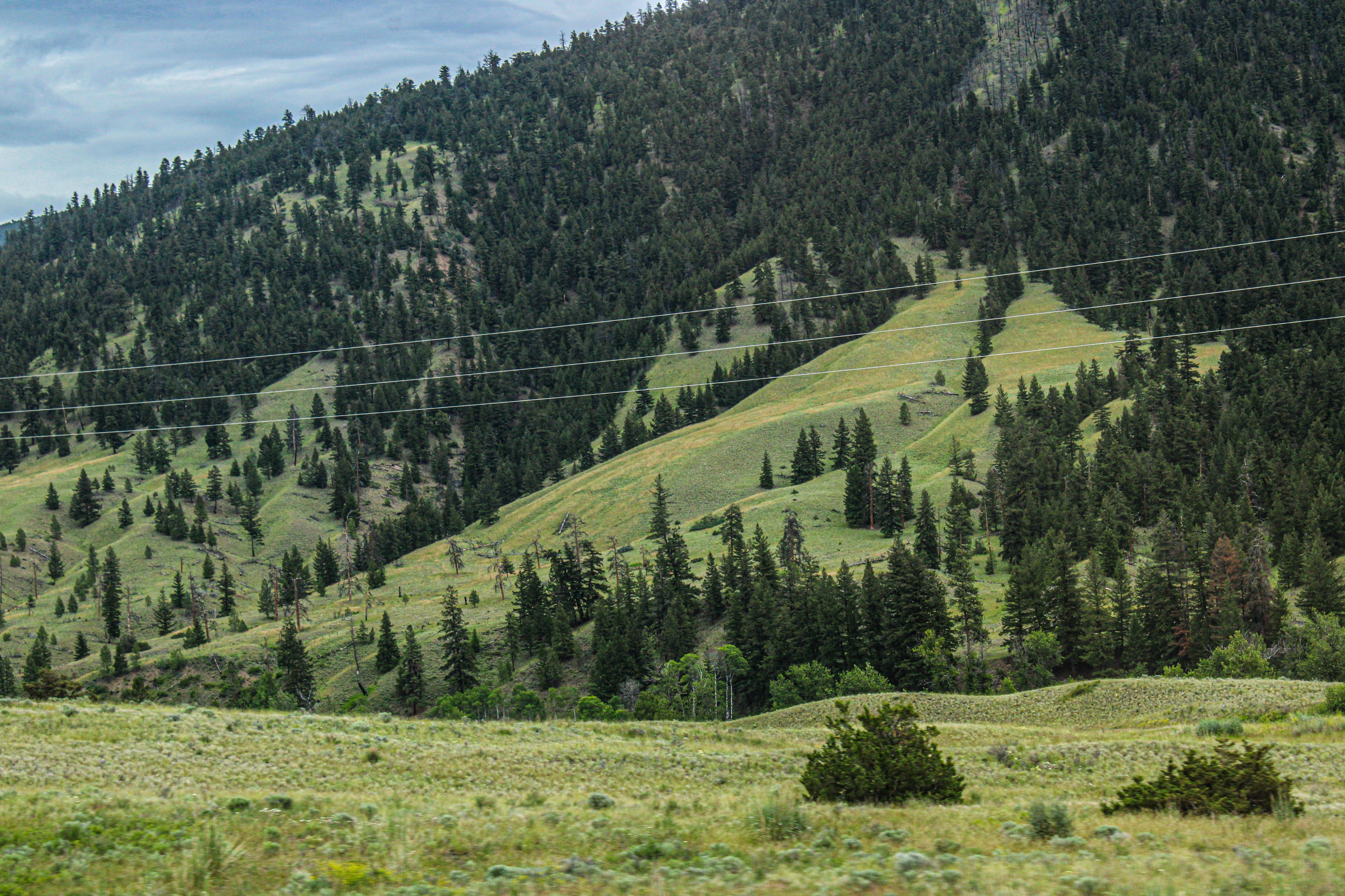 Photo by prphotography262