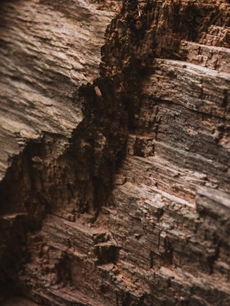 A close up of a piece of wood with a bird perched on top of it