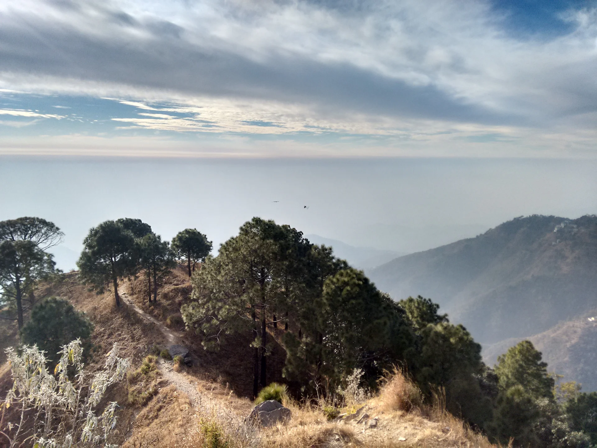 Delhi to Kasauli by taxi