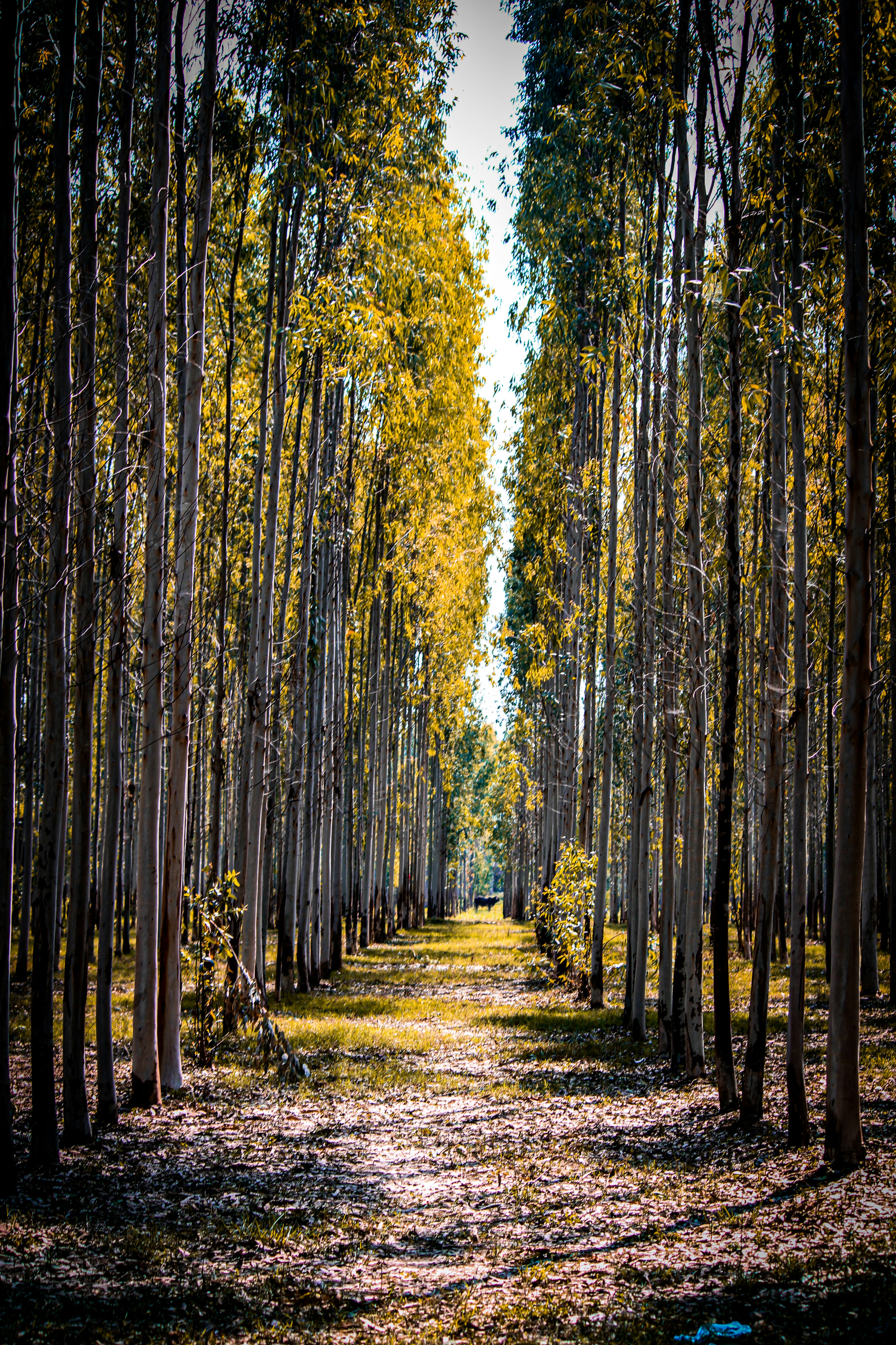 Photo by jgoel
