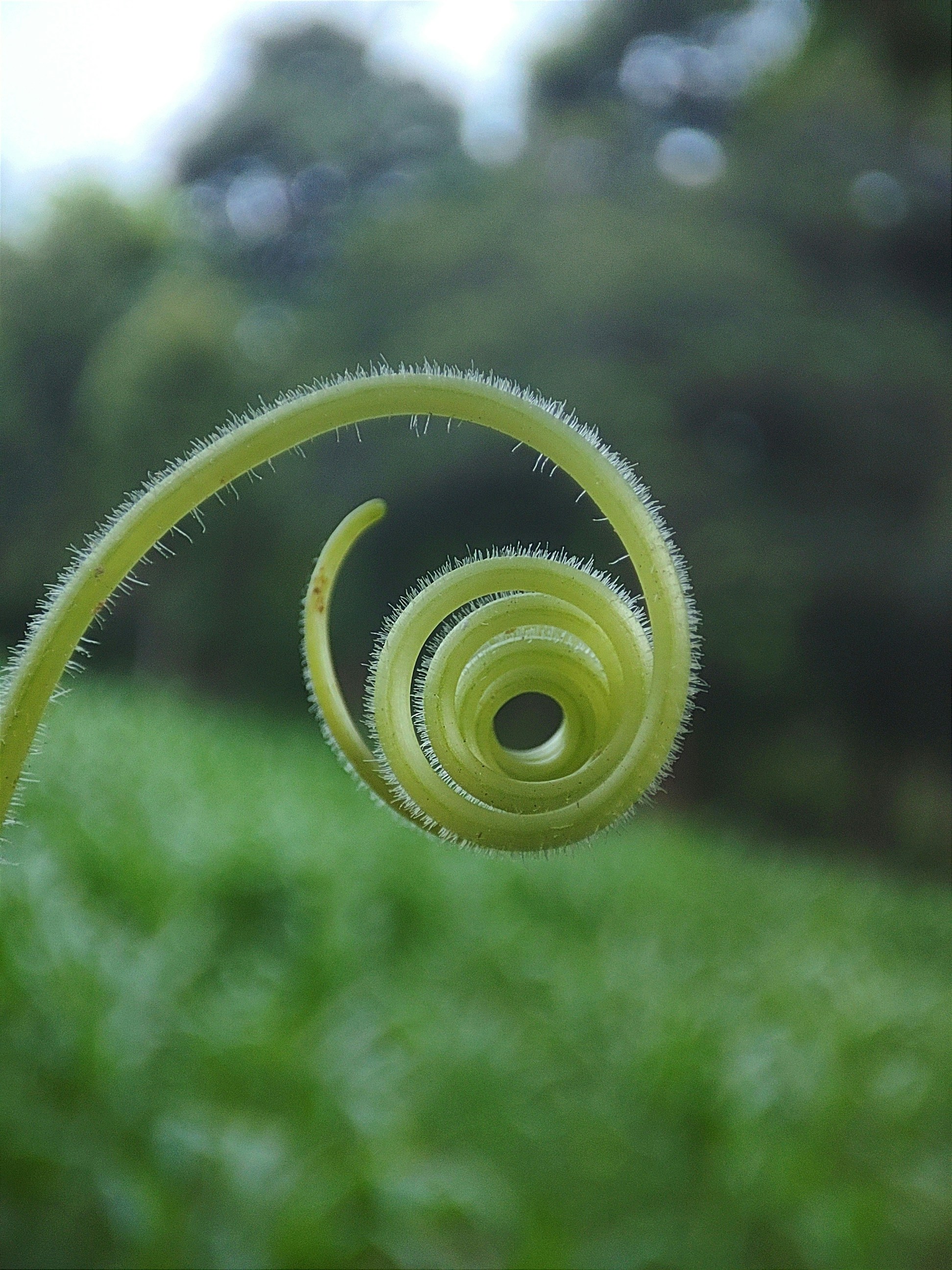 Photo by macrosam