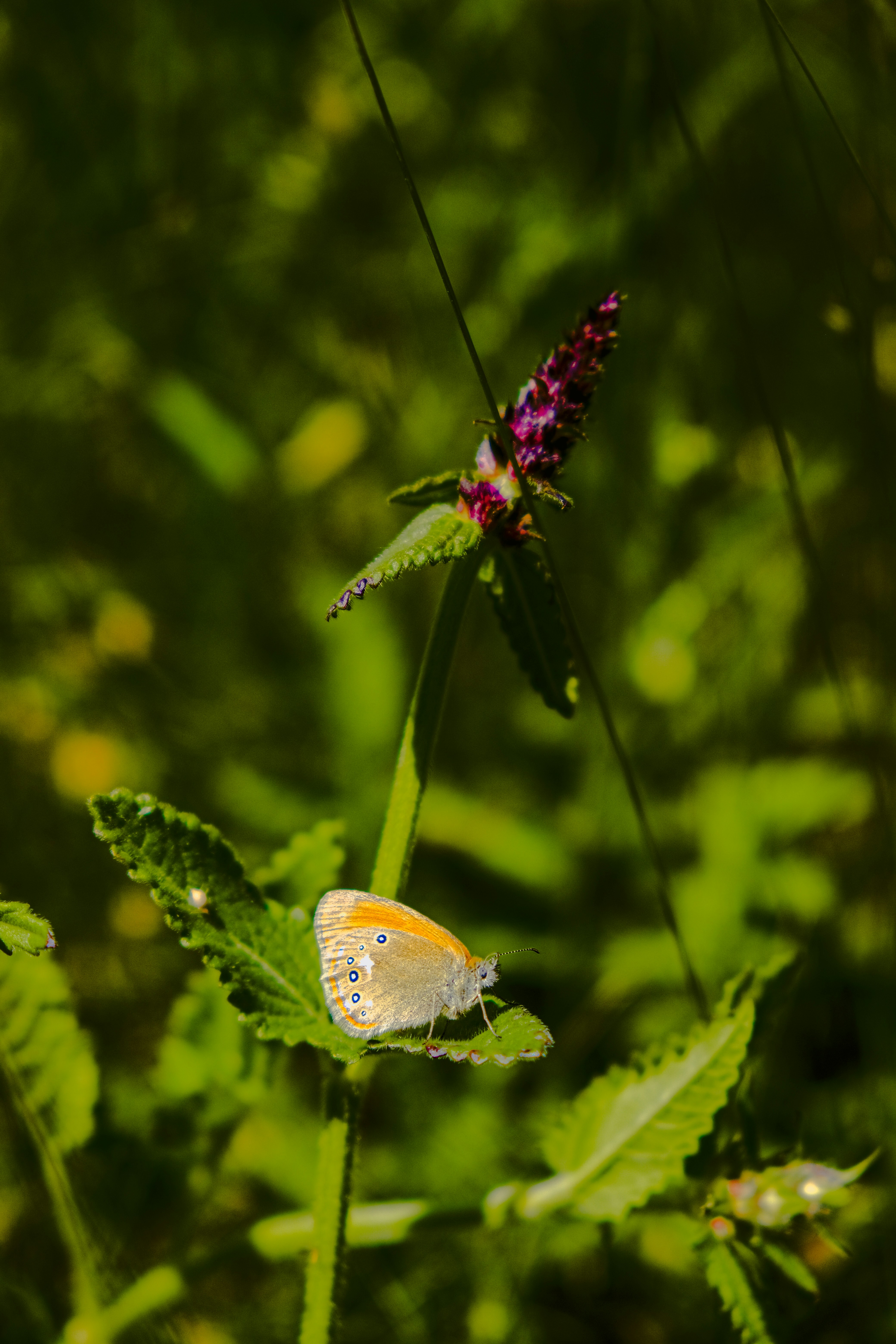 Photo by denisaficau