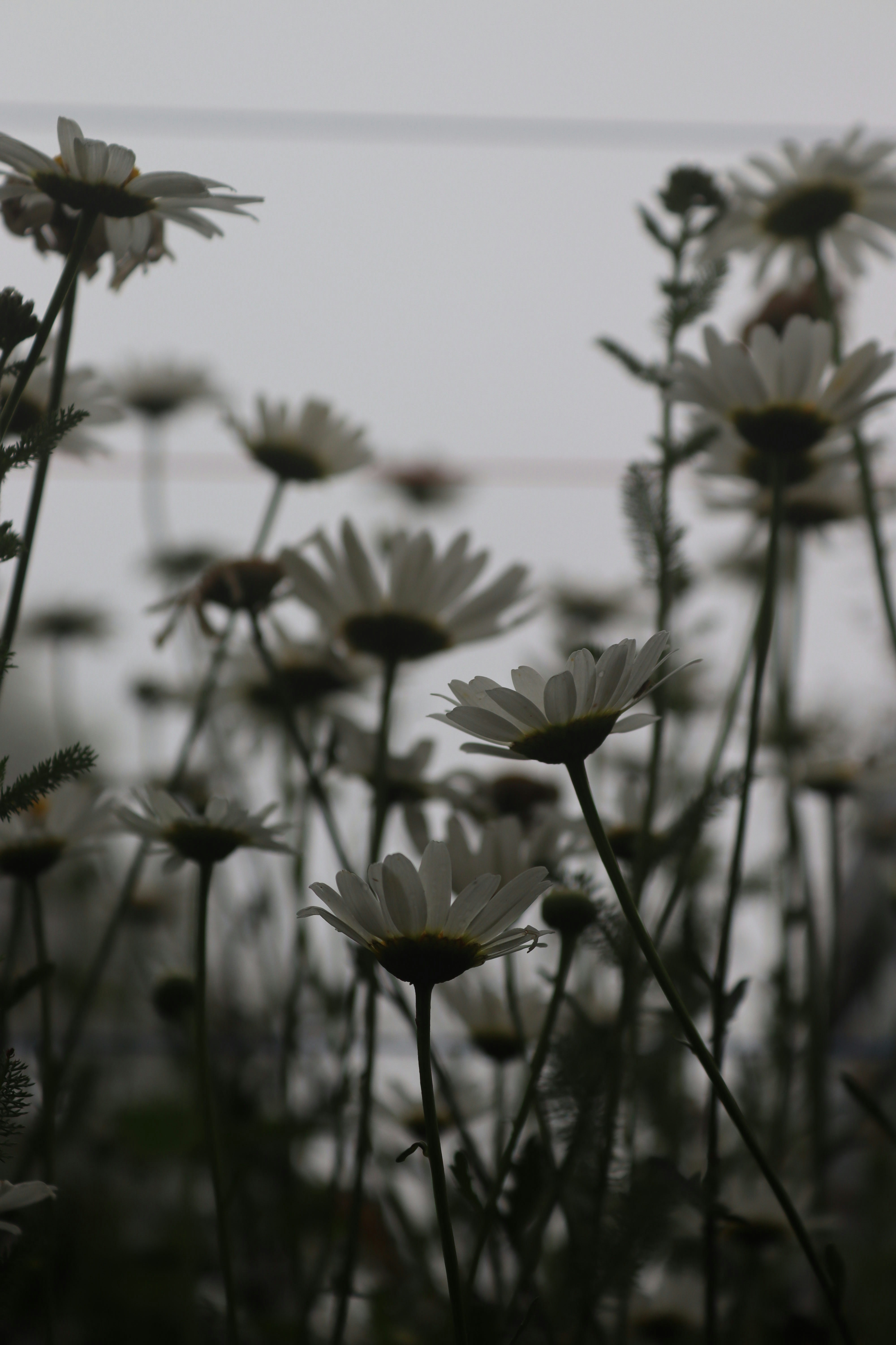 Photo by drphotographer152