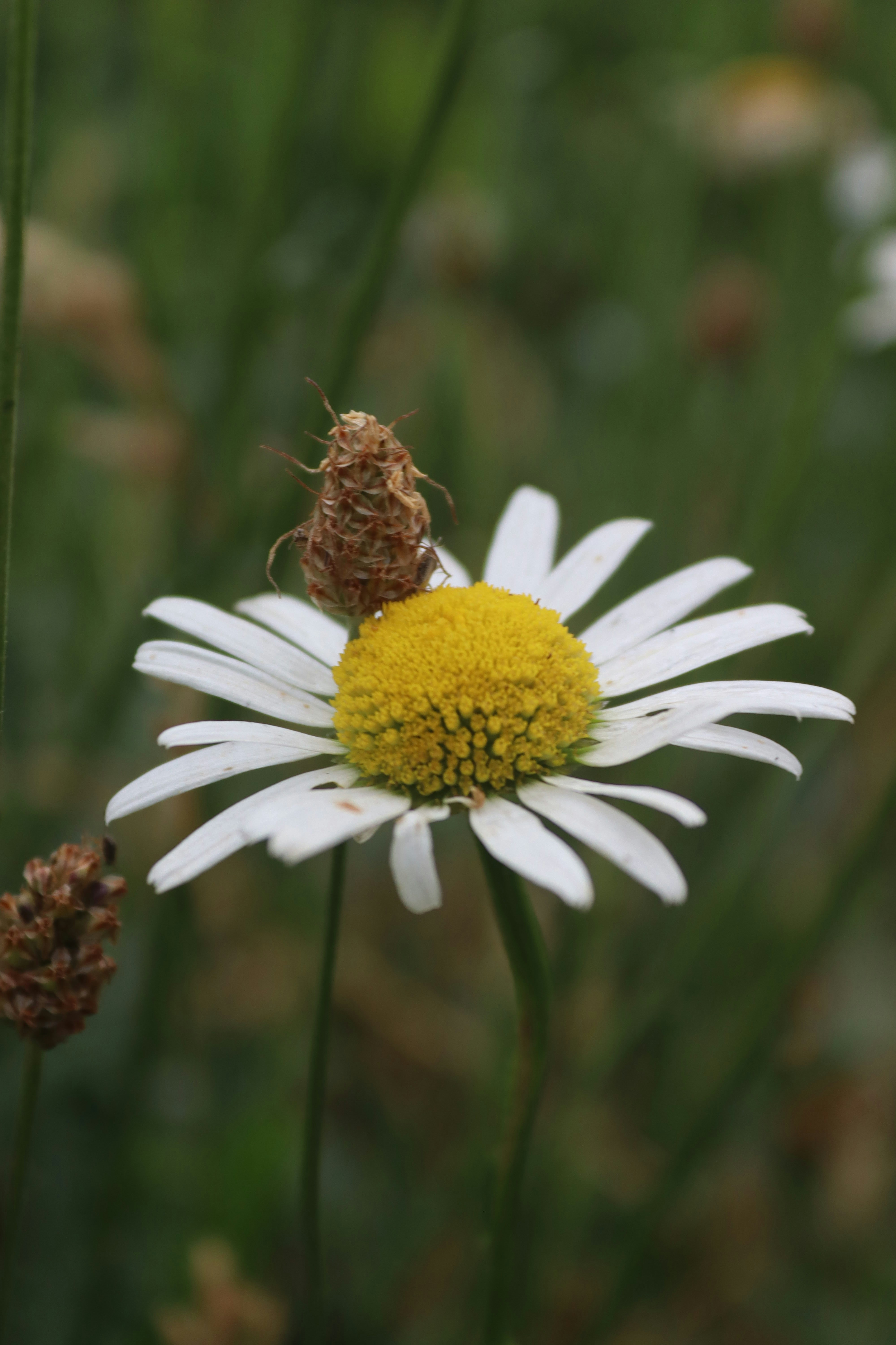 Photo by drphotographer152