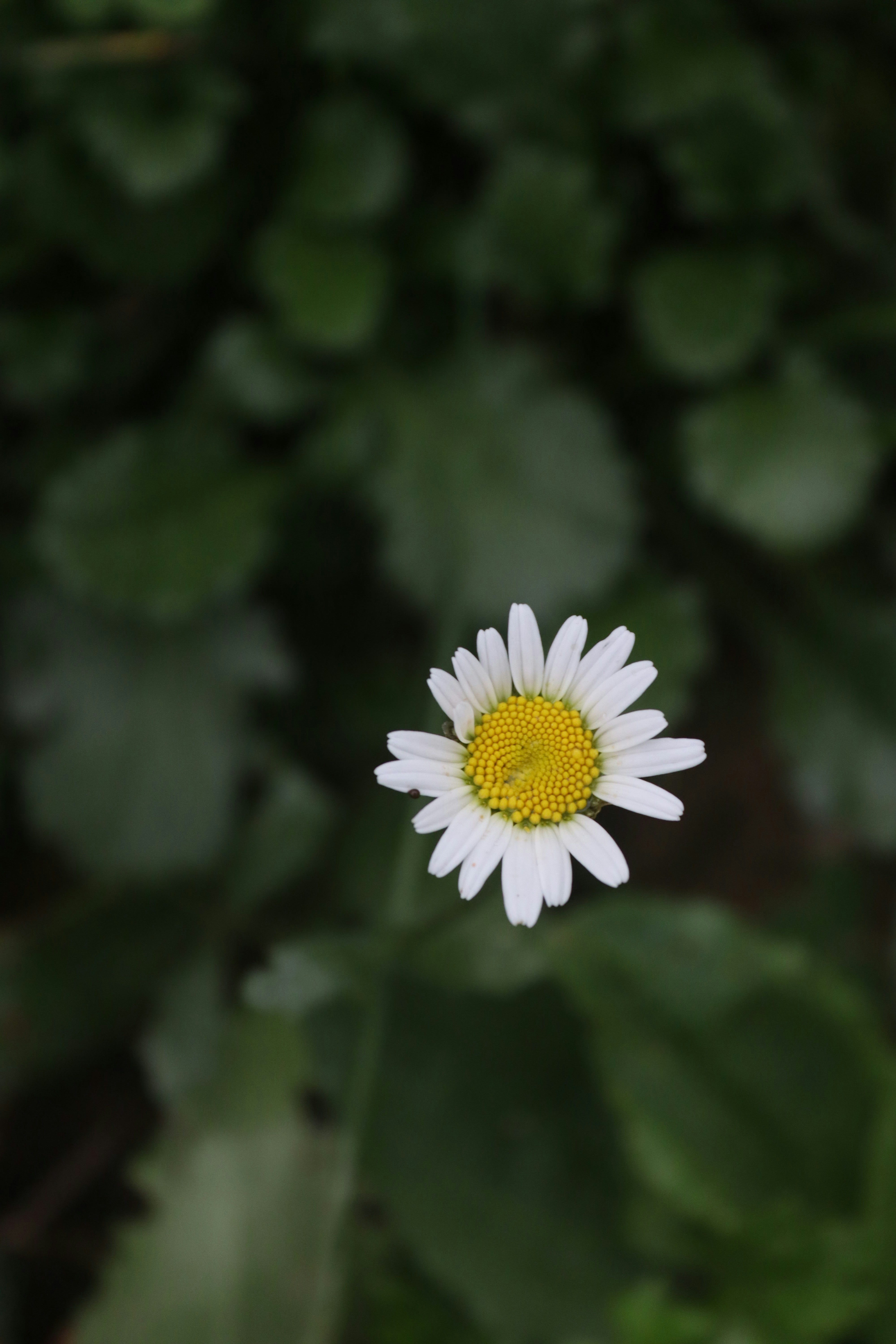 Photo by drphotographer152