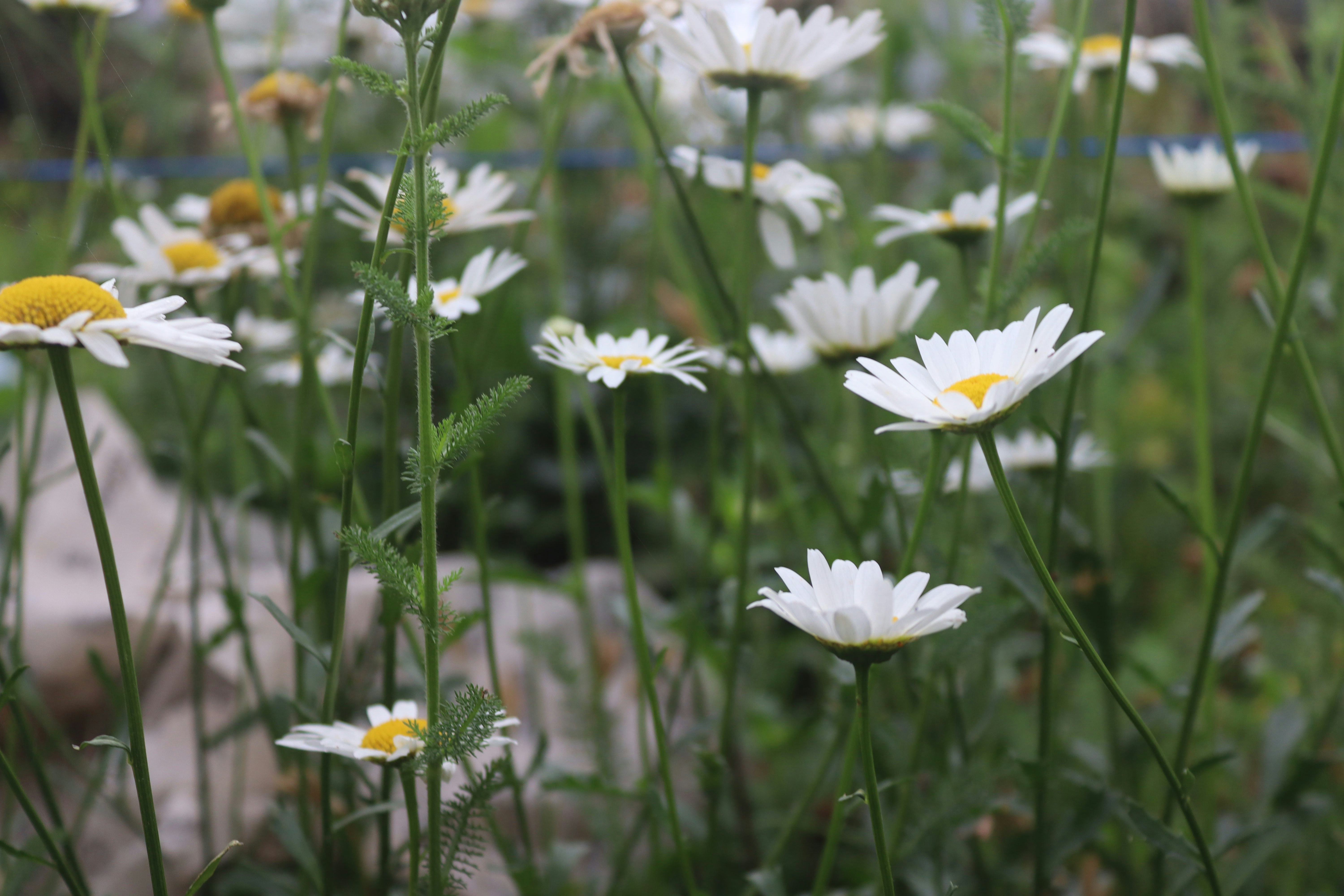 Photo by drphotographer152