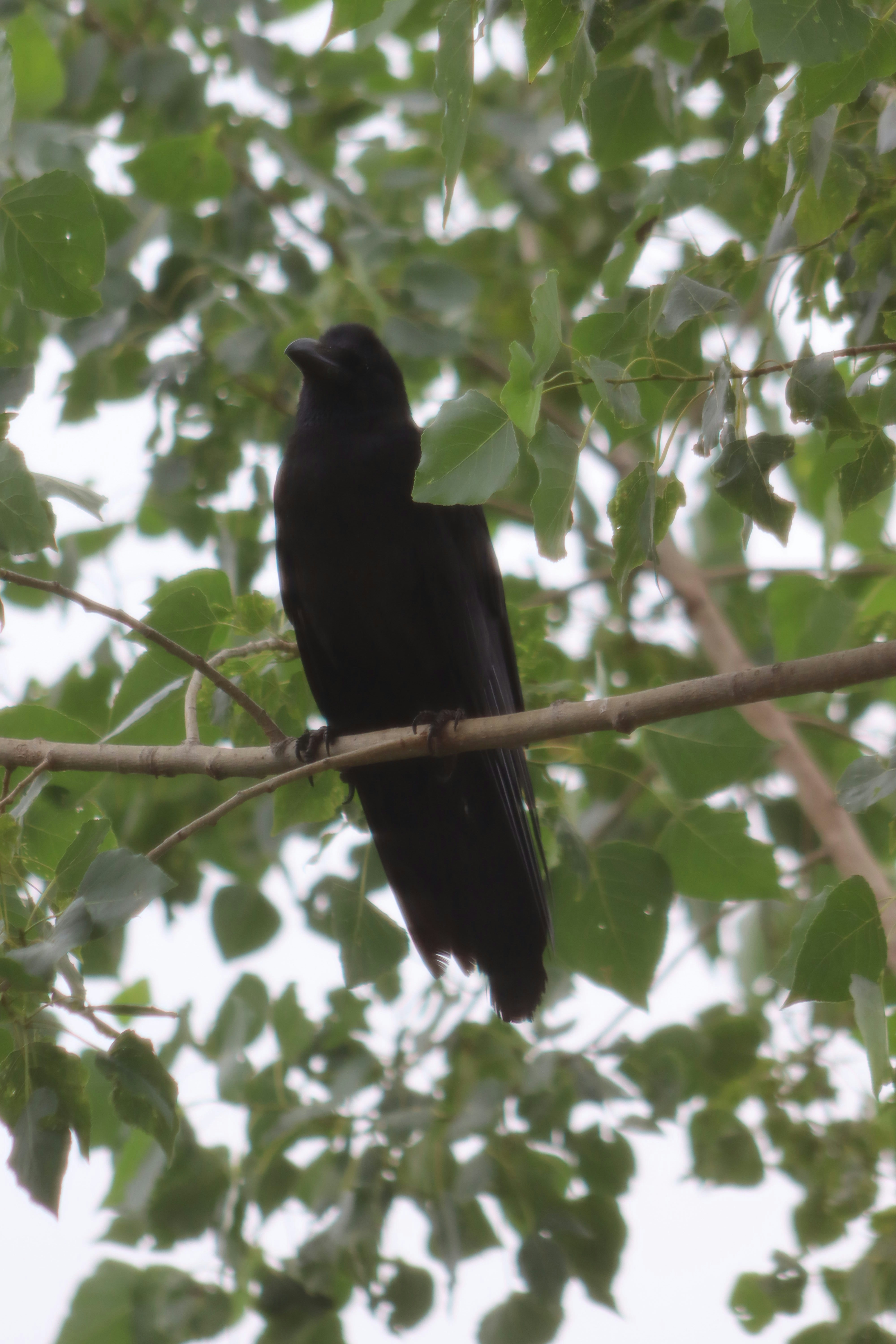 Photo by drphotographer152