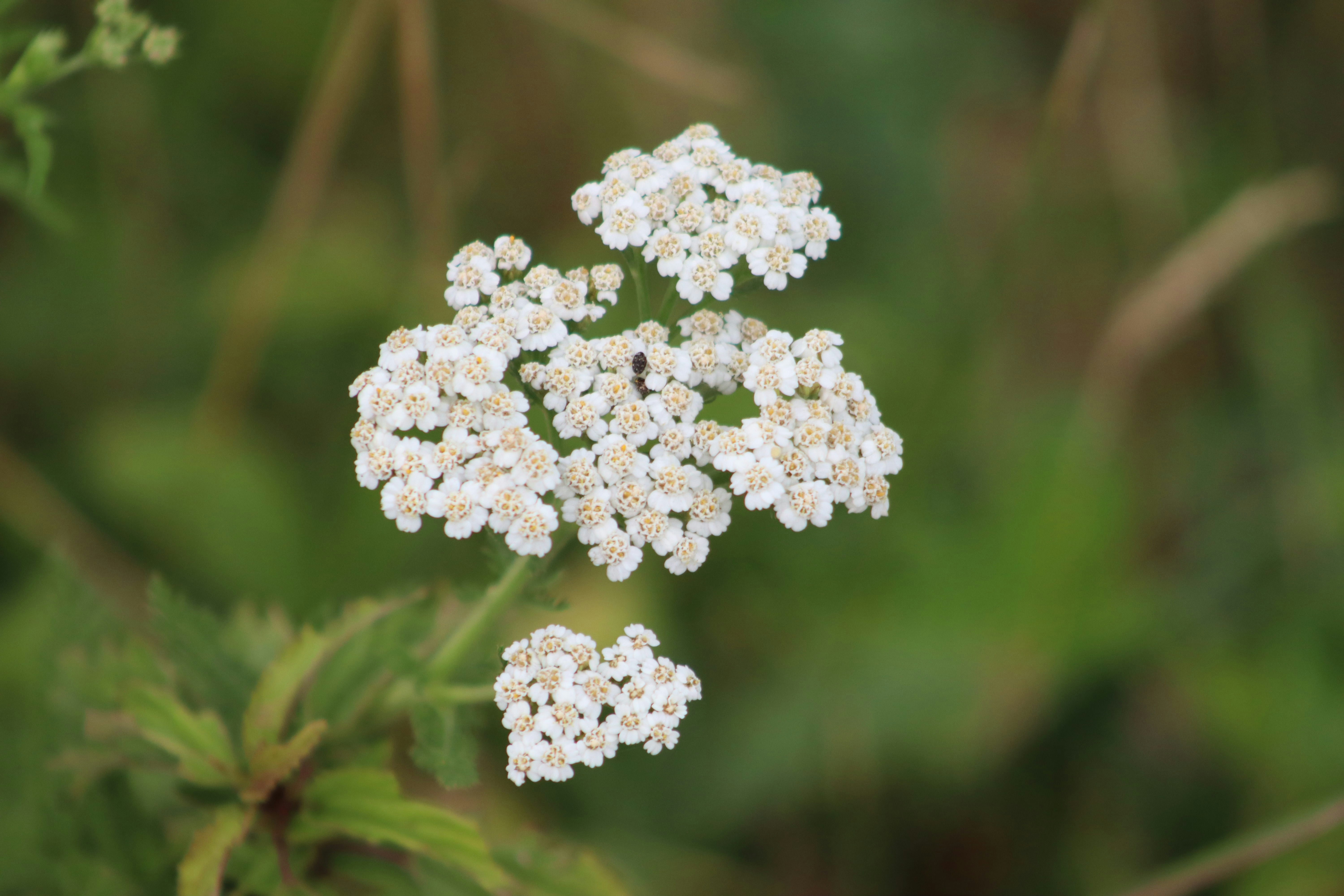 Photo by drphotographer152