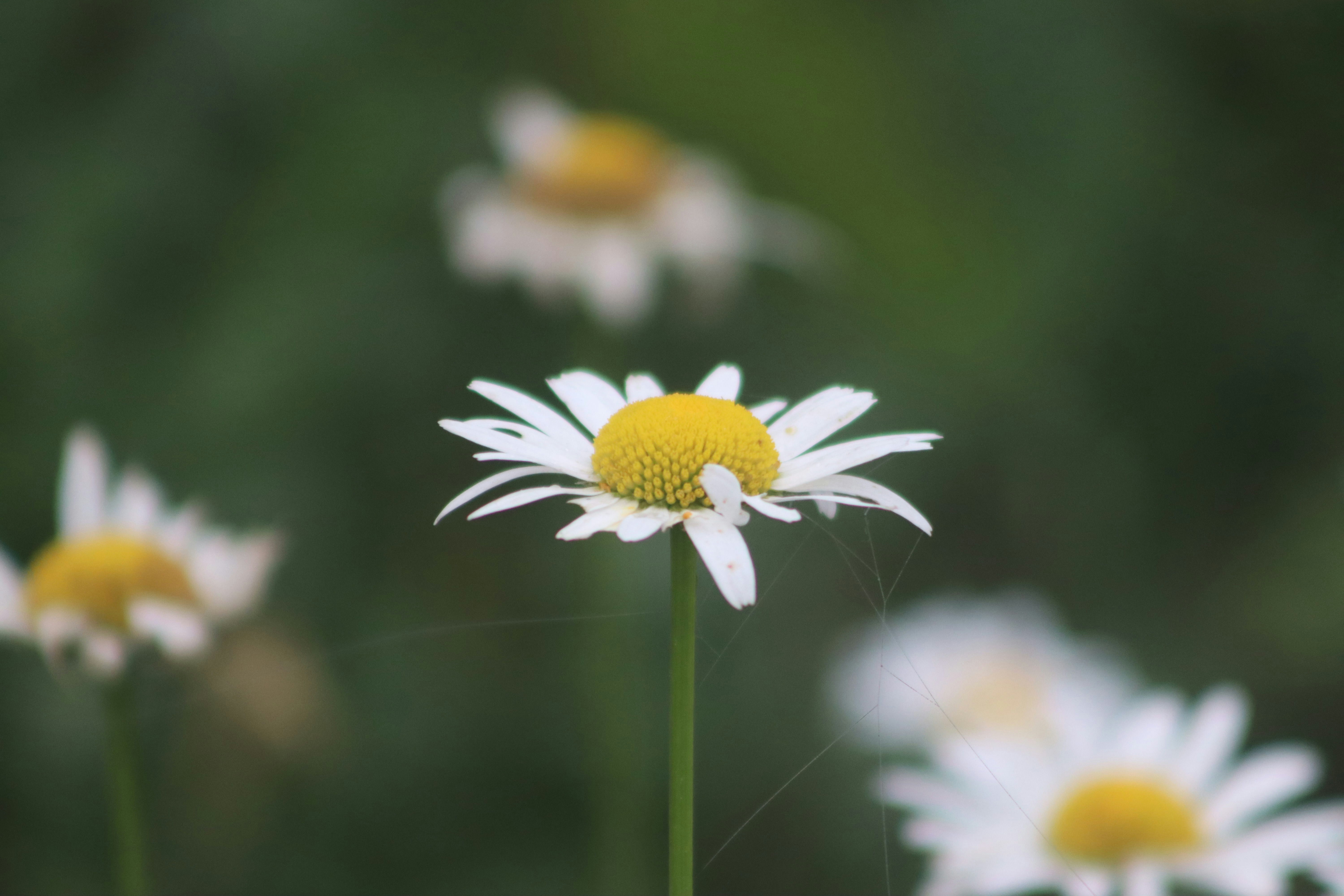 Photo by drphotographer152