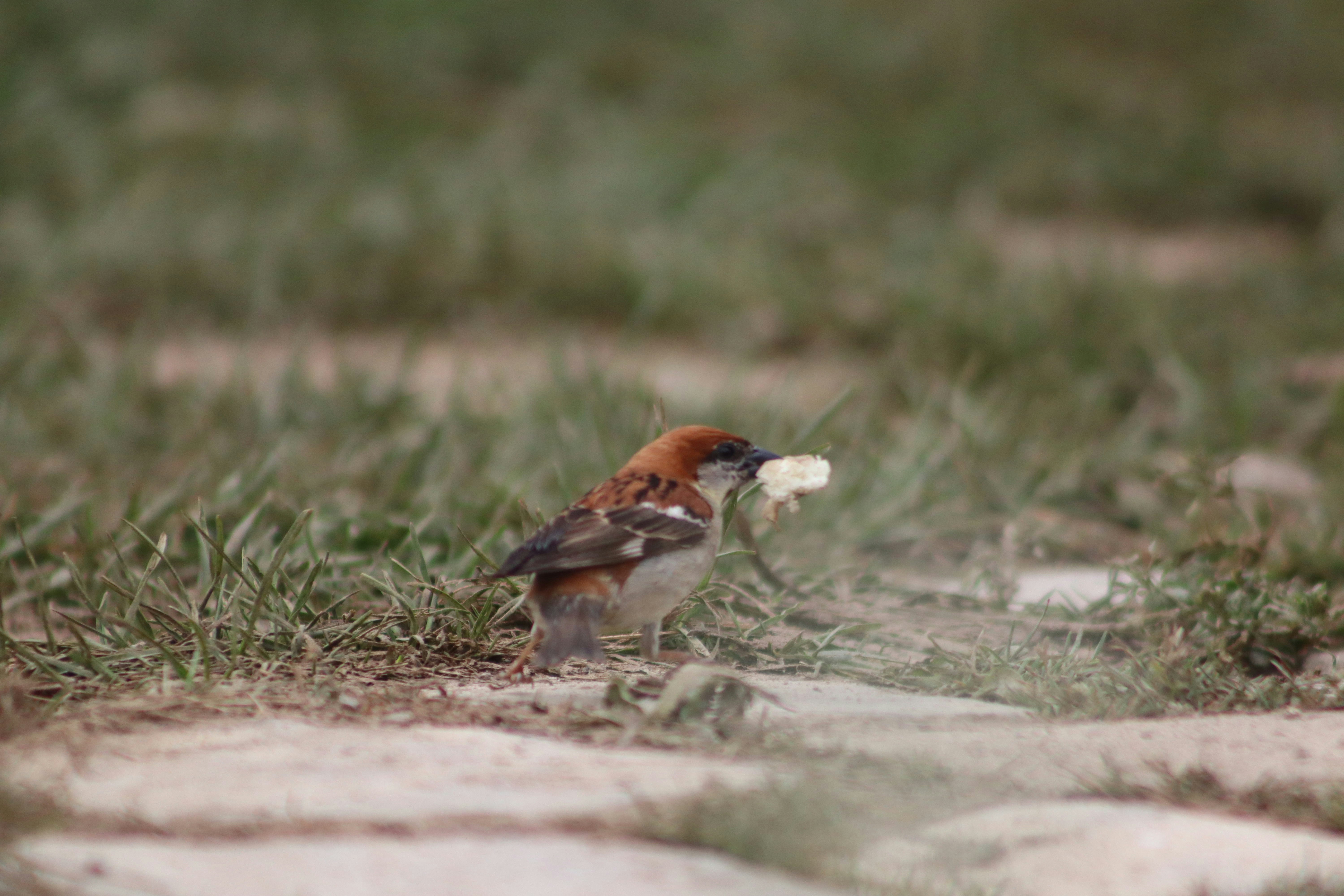 Photo by drphotographer152