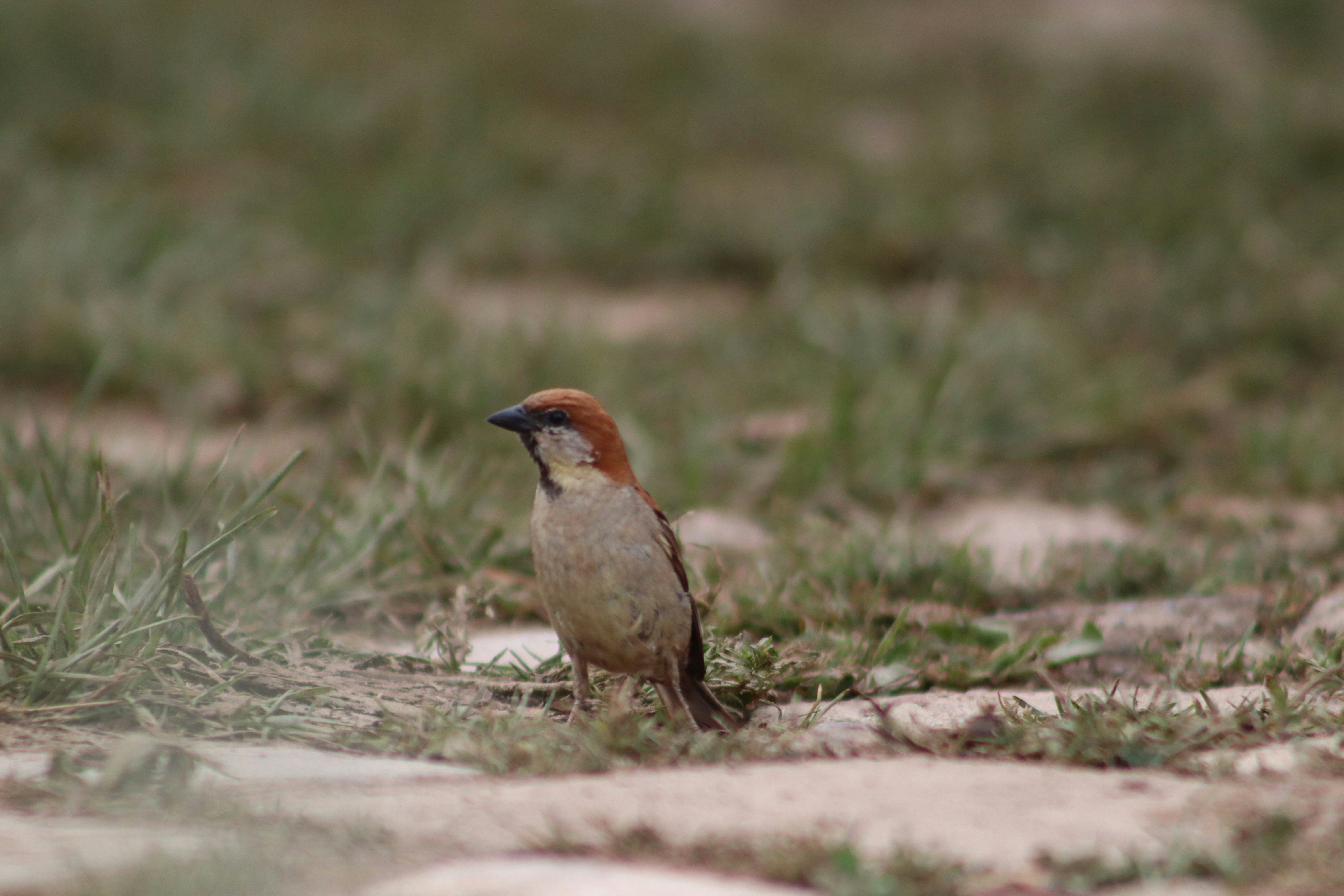 Photo by drphotographer152