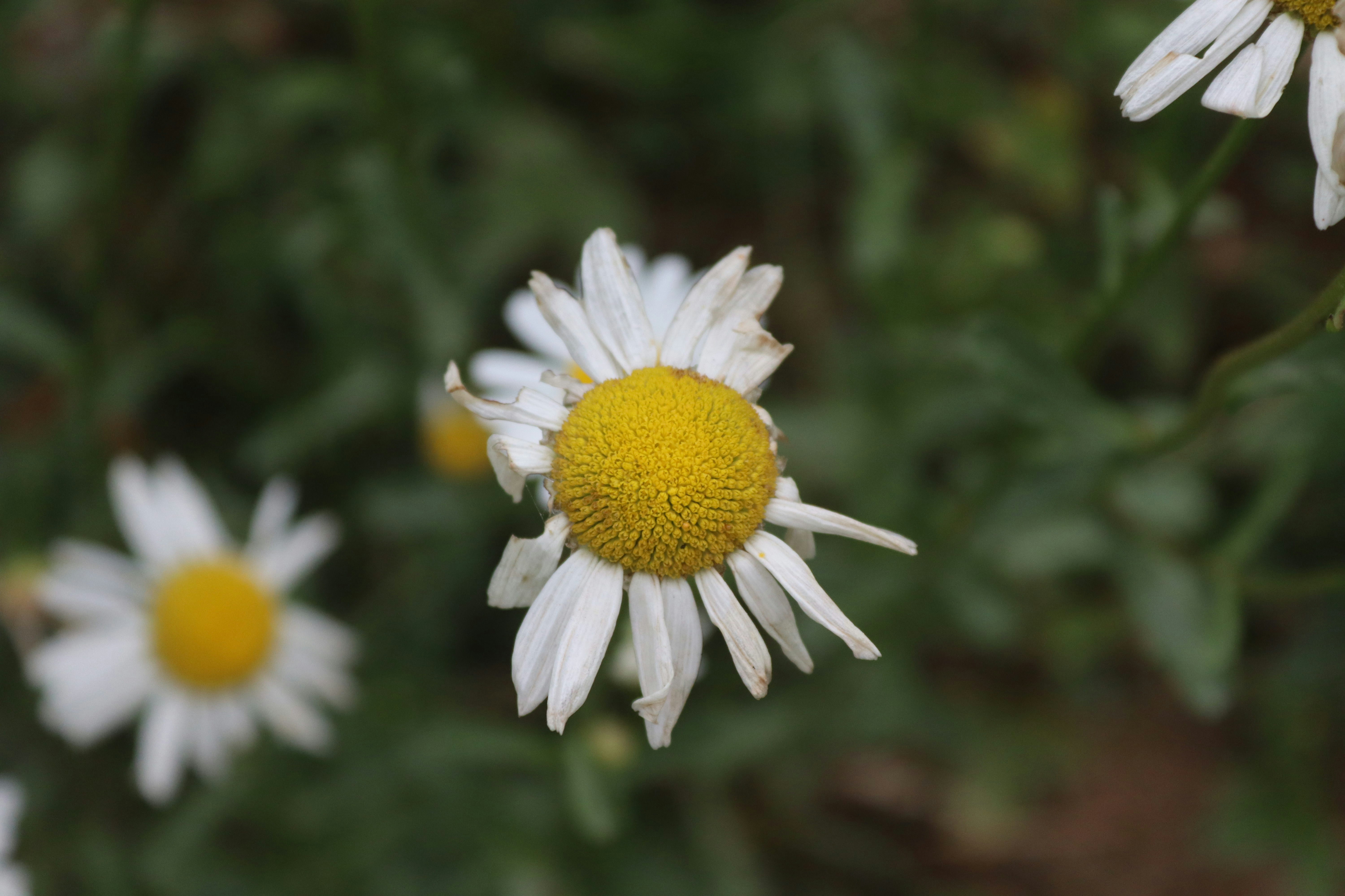 Photo by drphotographer152