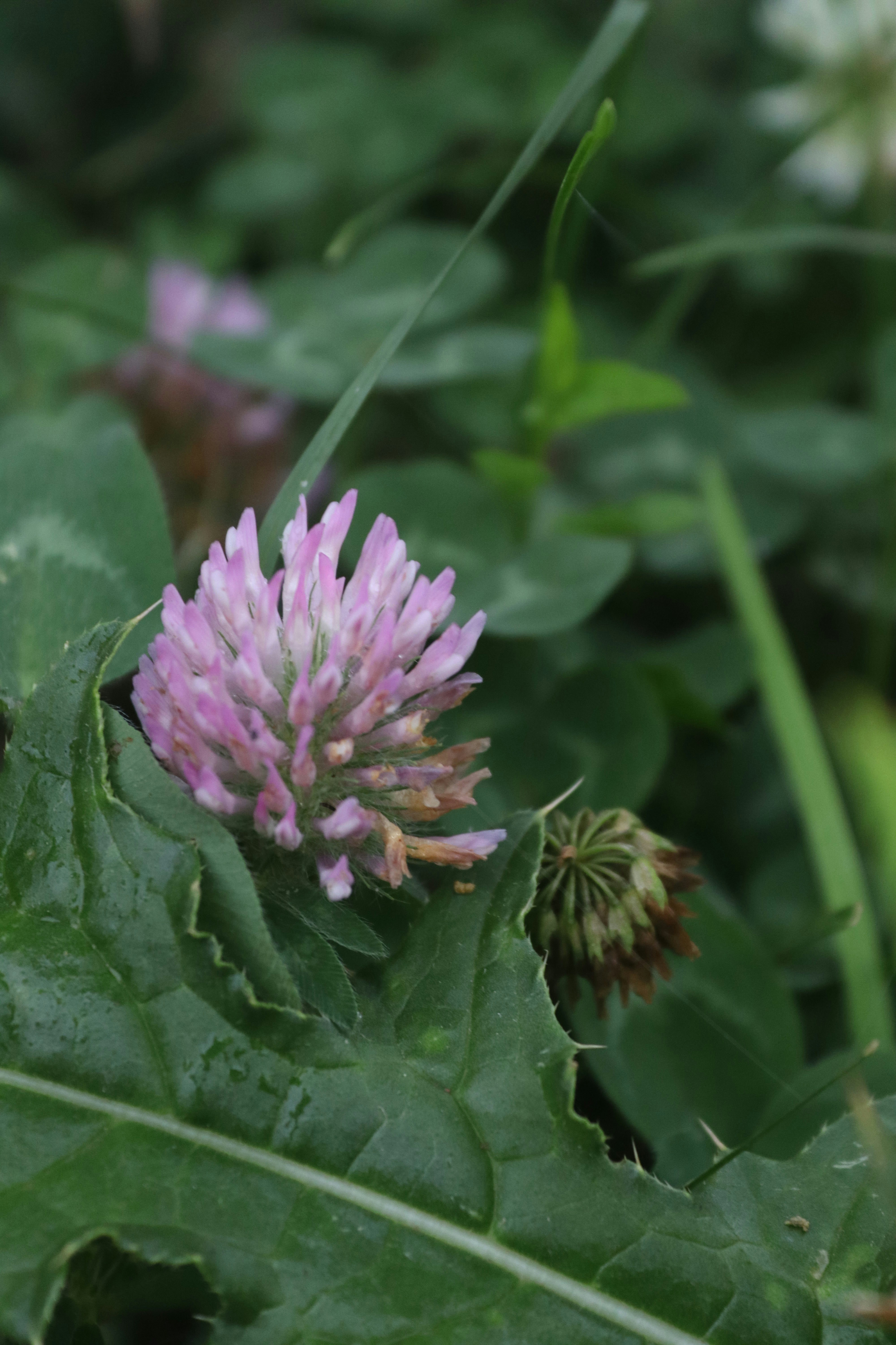 Photo by drphotographer152